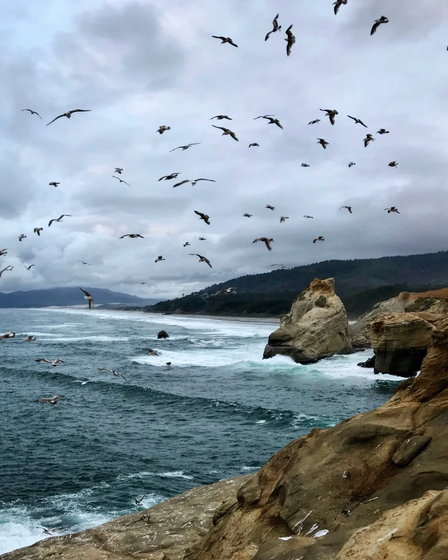 Cape Kiwanda
.
.
.
#capekiwanda #oregon #oregoncoast #pnw #pacificnorthwest #travel #oregonexplored