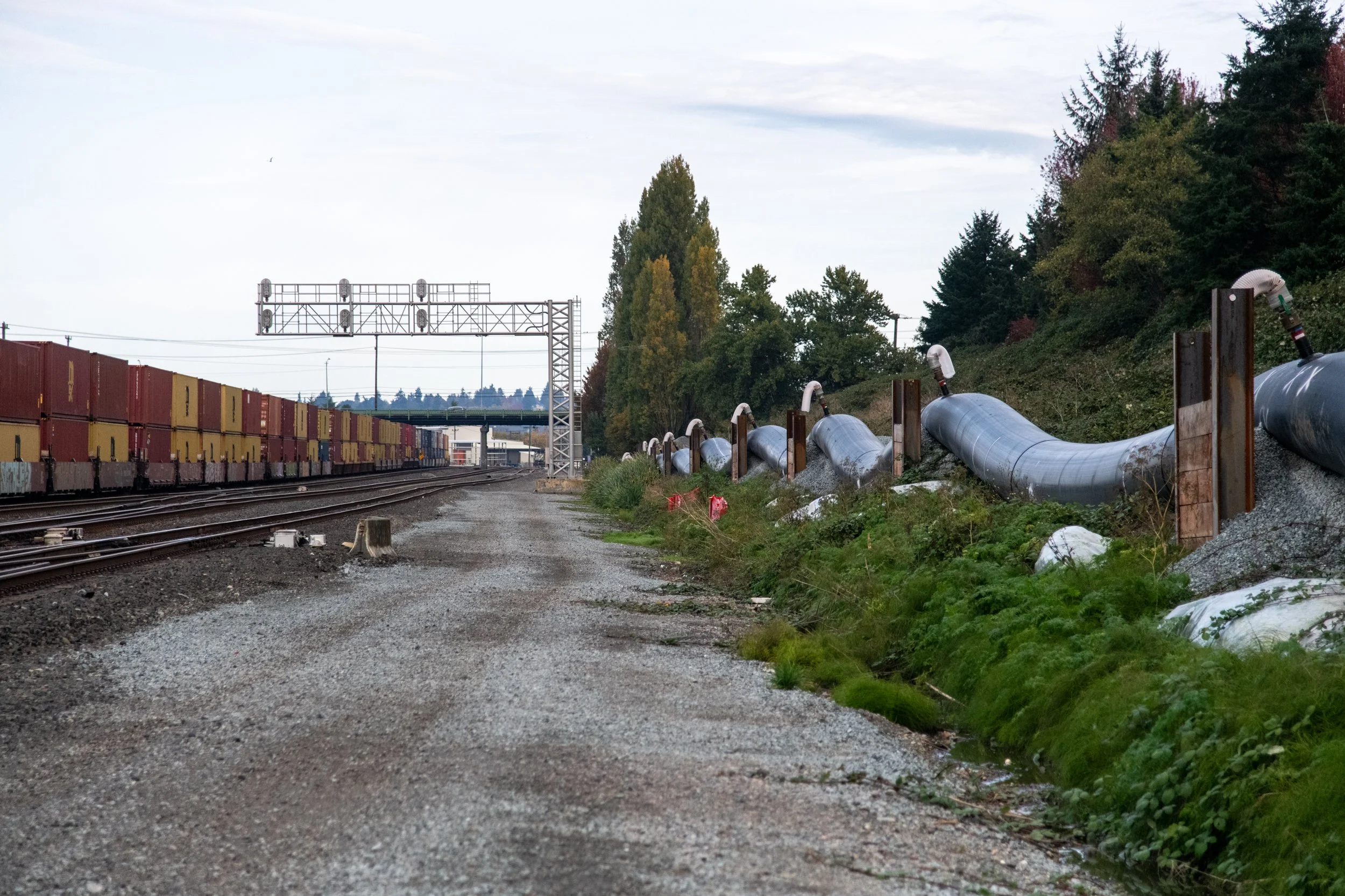 hdfowler-seattle-079.jpg