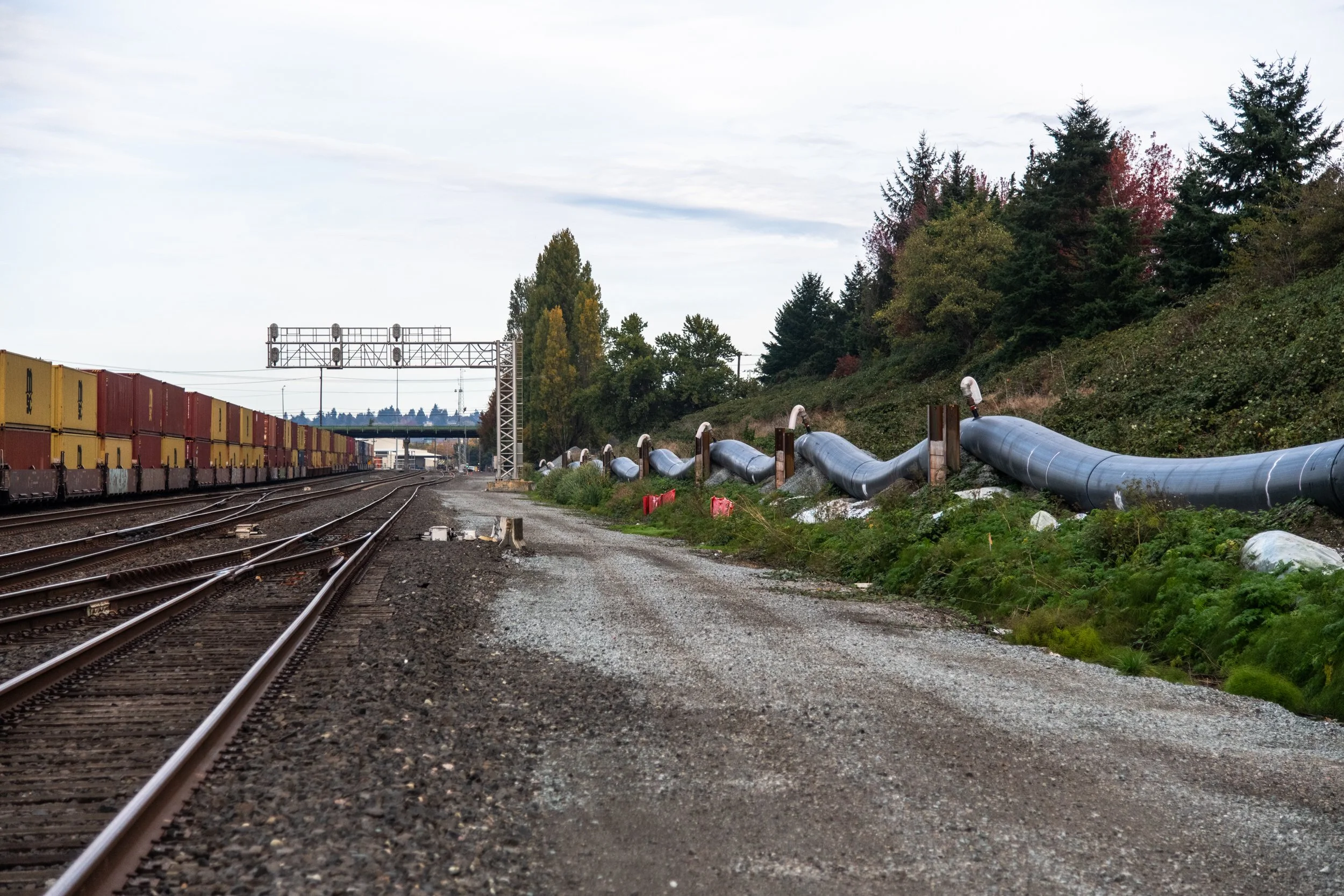 hdfowler-seattle-083.jpg