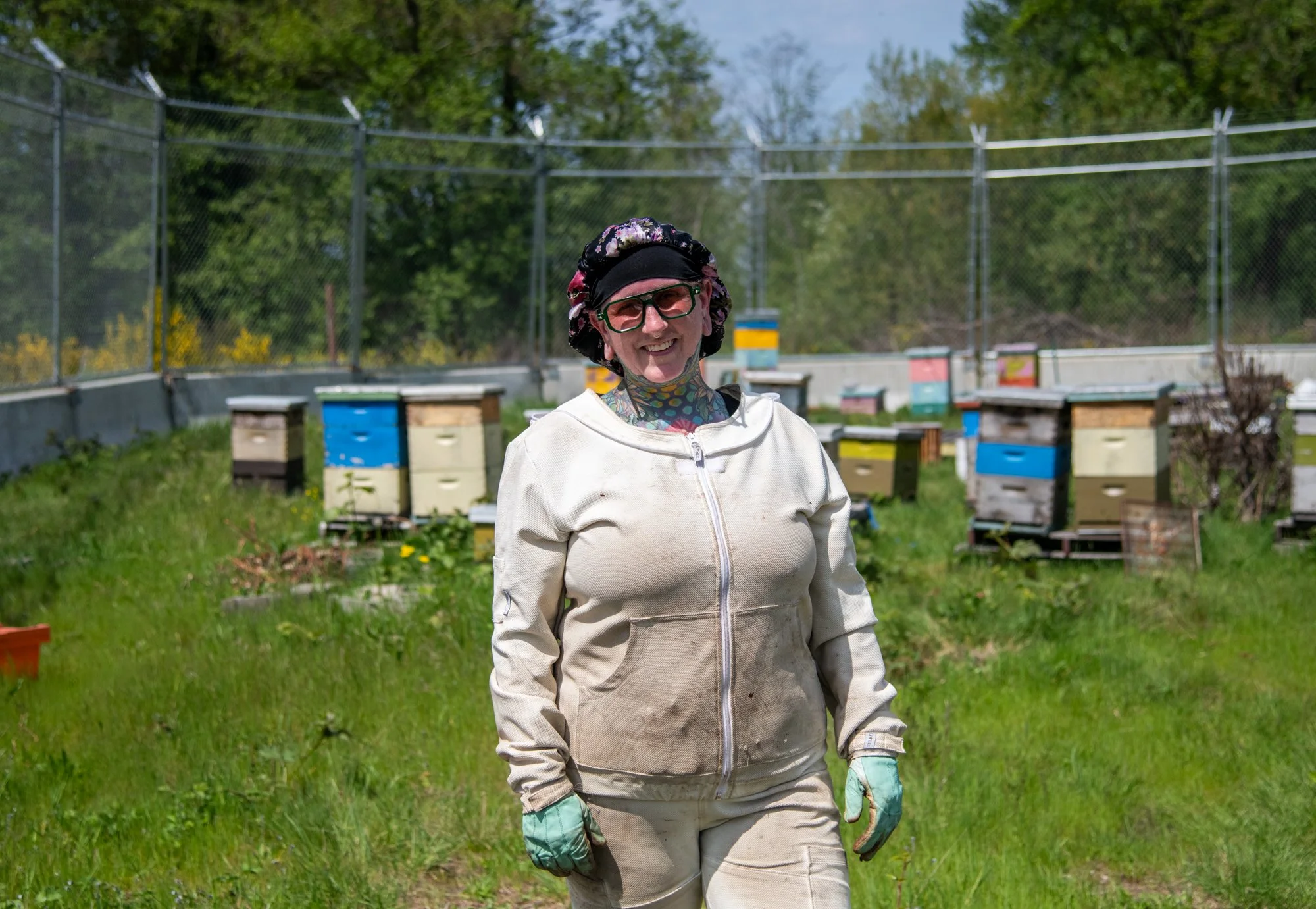 SEA-apiary-2.jpg
