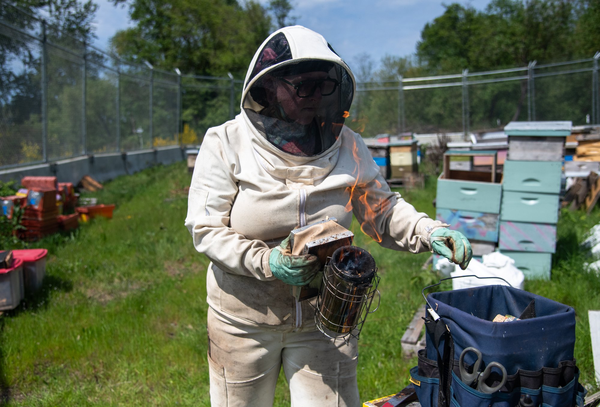 SEA-apiary-4.jpg
