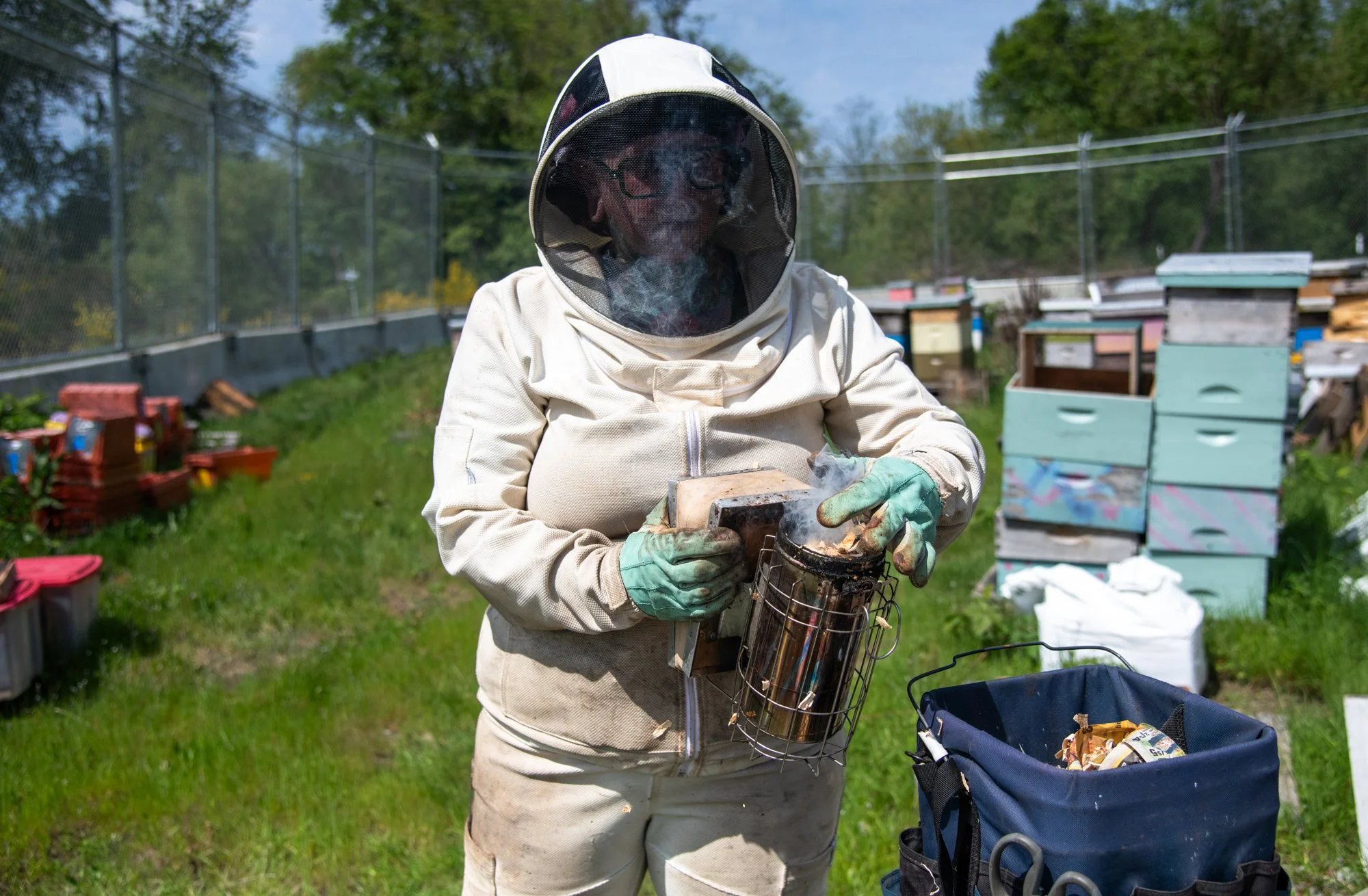 SEA-apiary-5.jpg