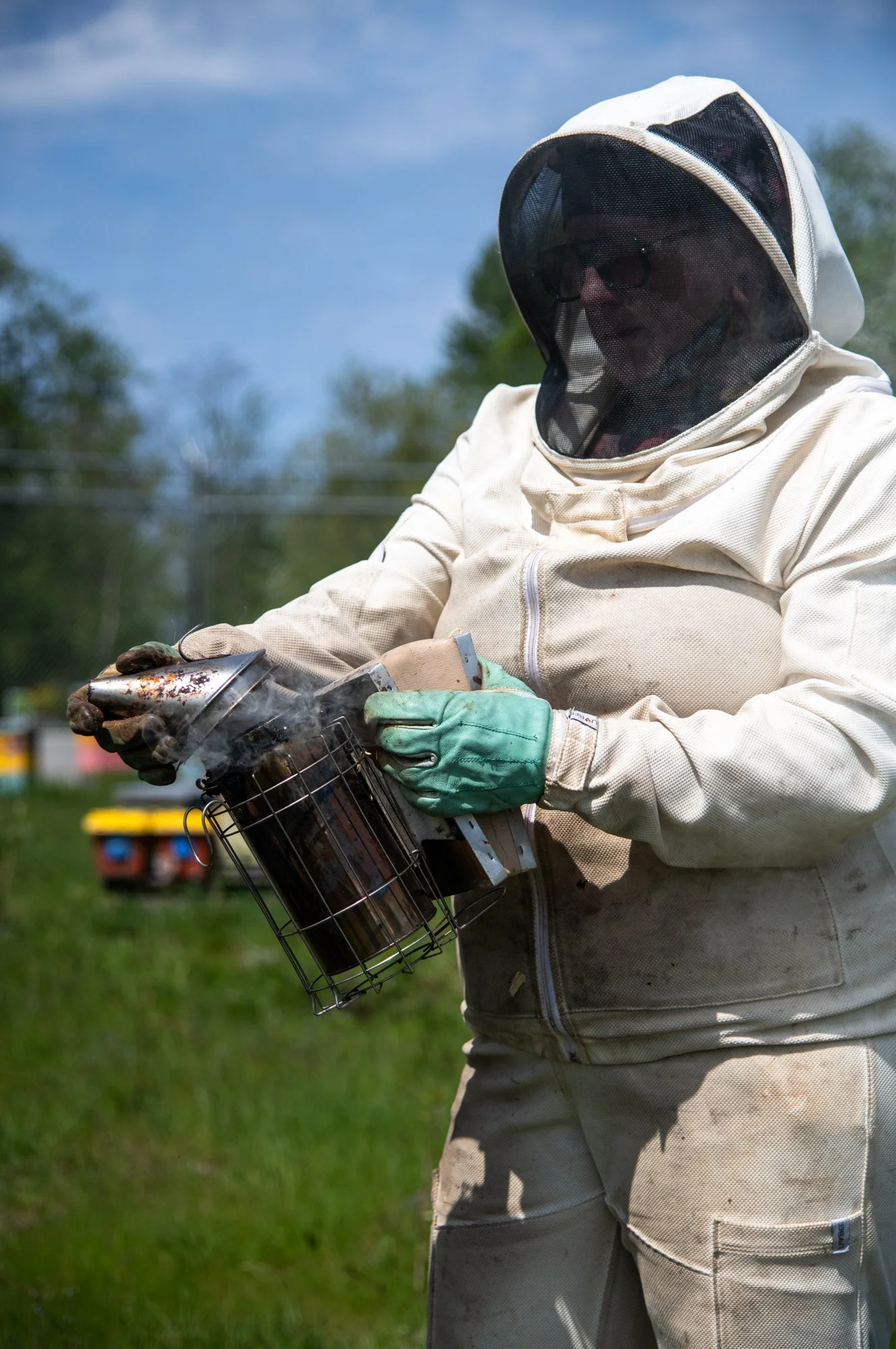 SEA-apiary-6.jpg