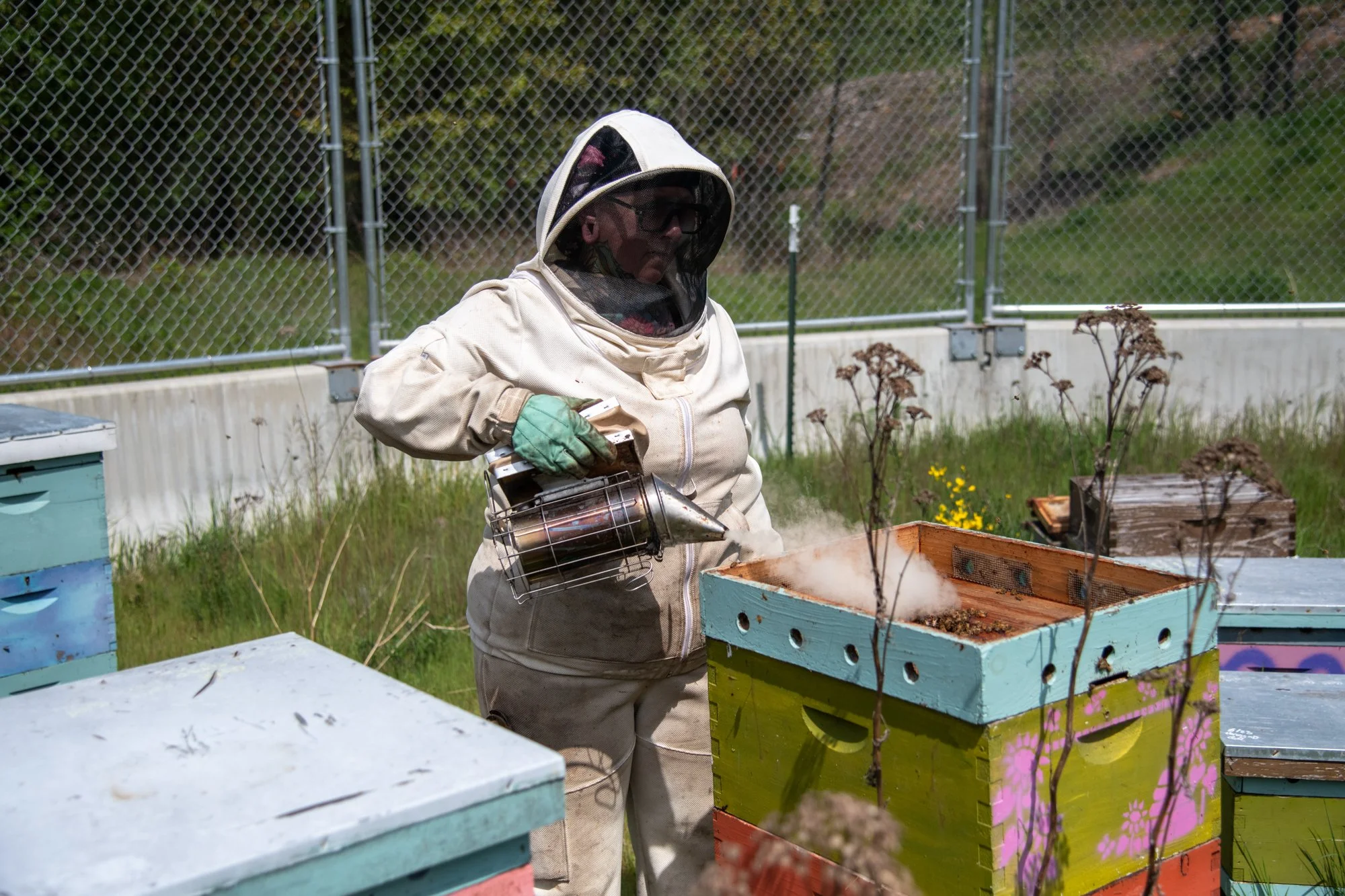 SEA-apiary-8.jpg