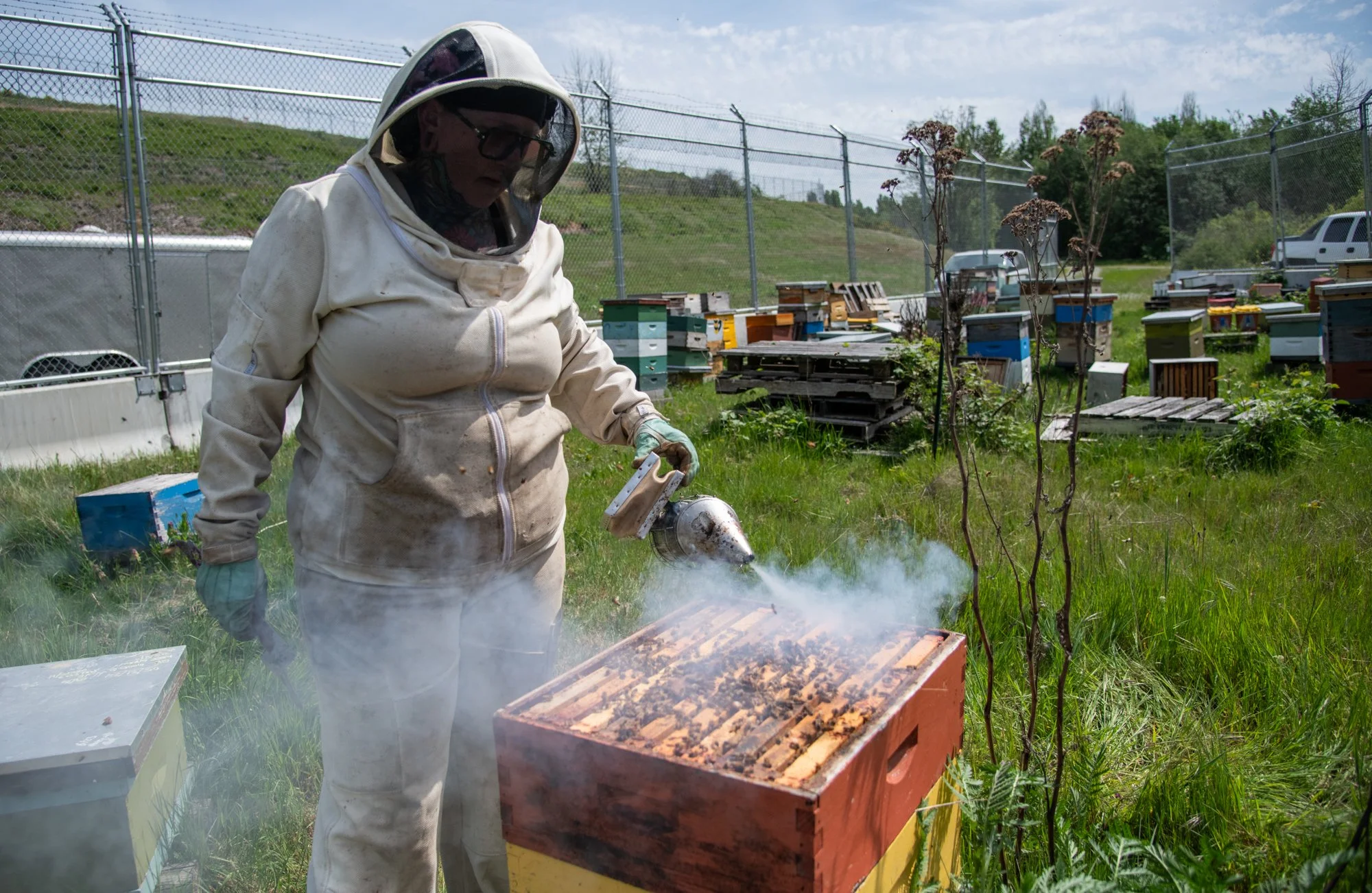 SEA-apiary-22.jpg