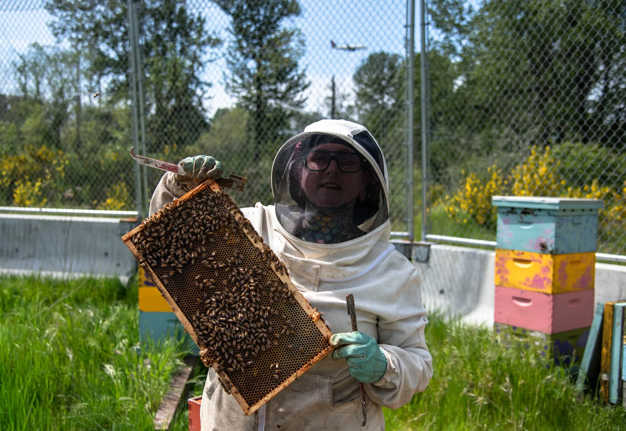 SEA-apiary-35.jpg