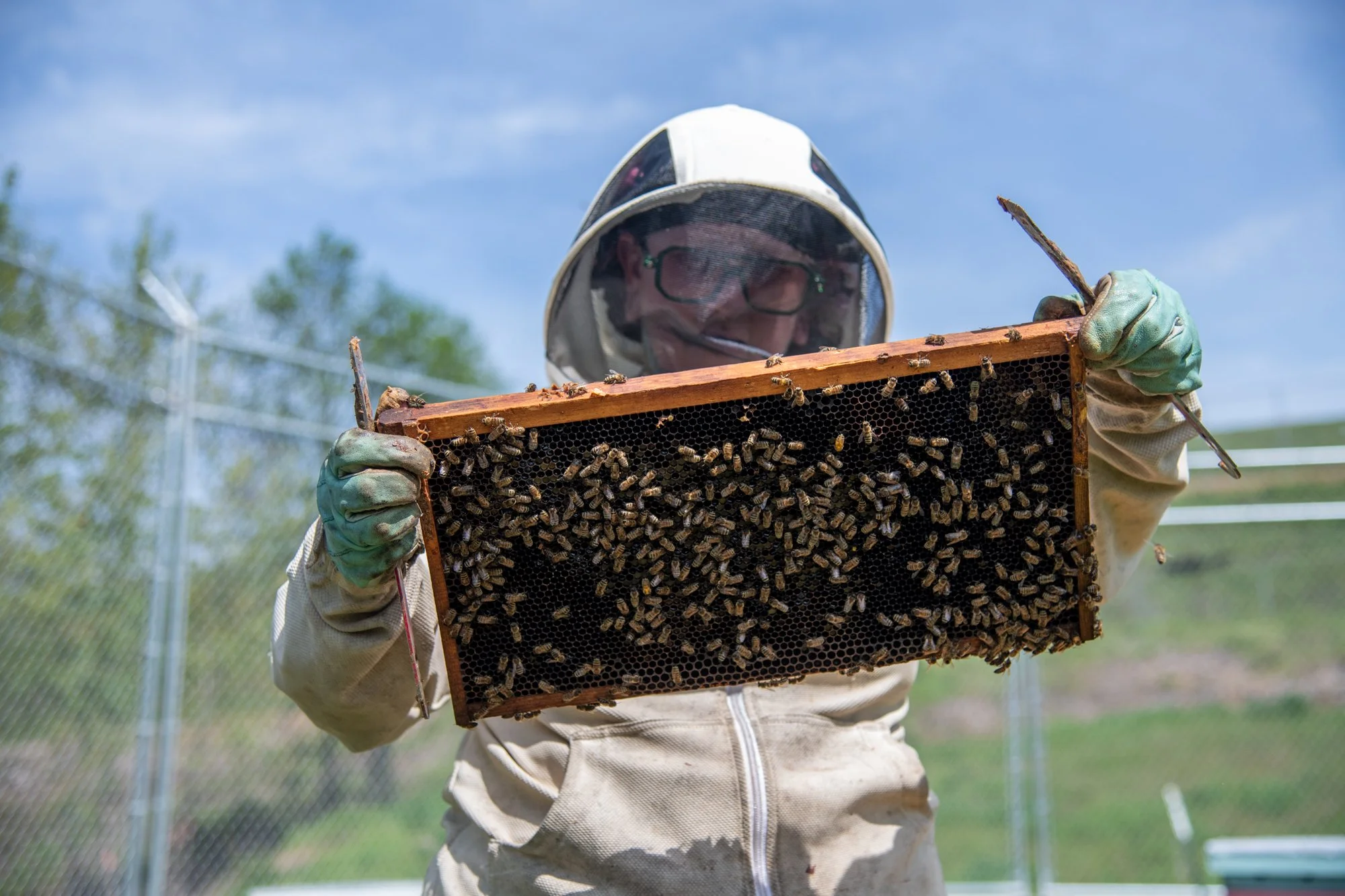 SEA-apiary-39.jpg