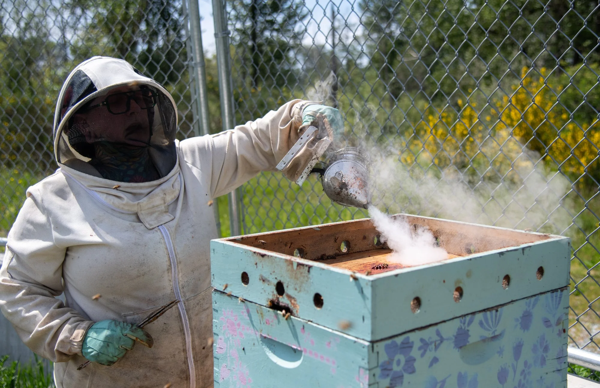 SEA-apiary-41.jpg