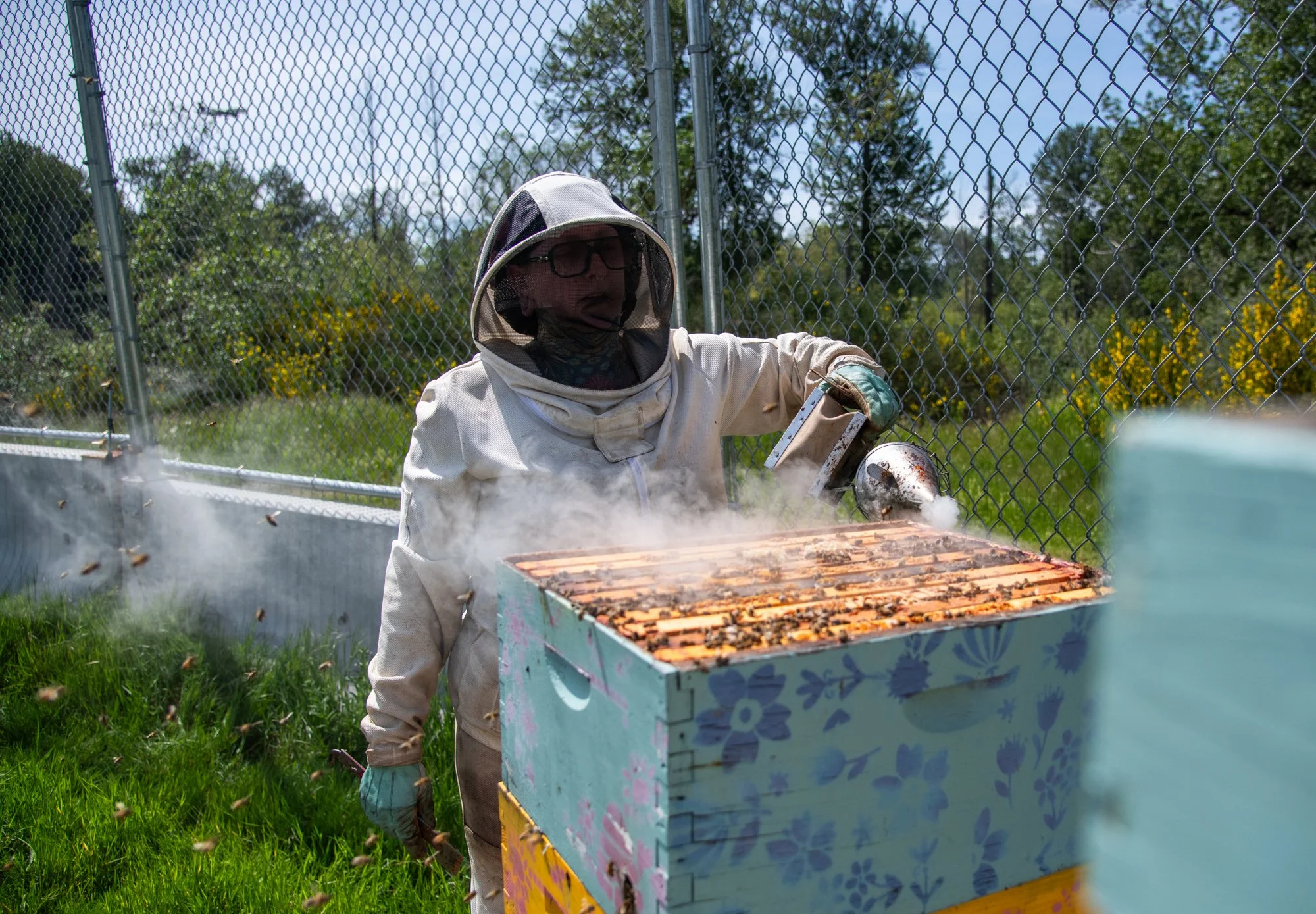 SEA-apiary-43.jpg