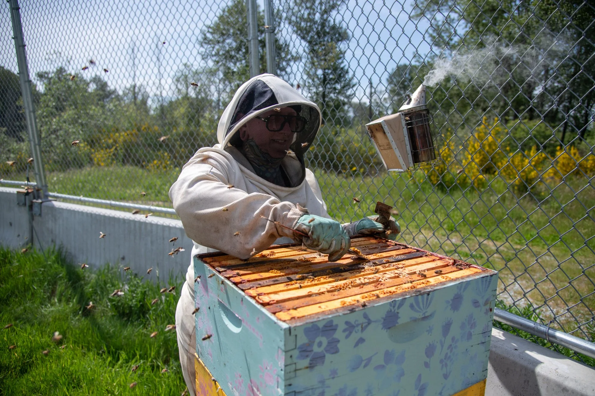 SEA-apiary-45.jpg