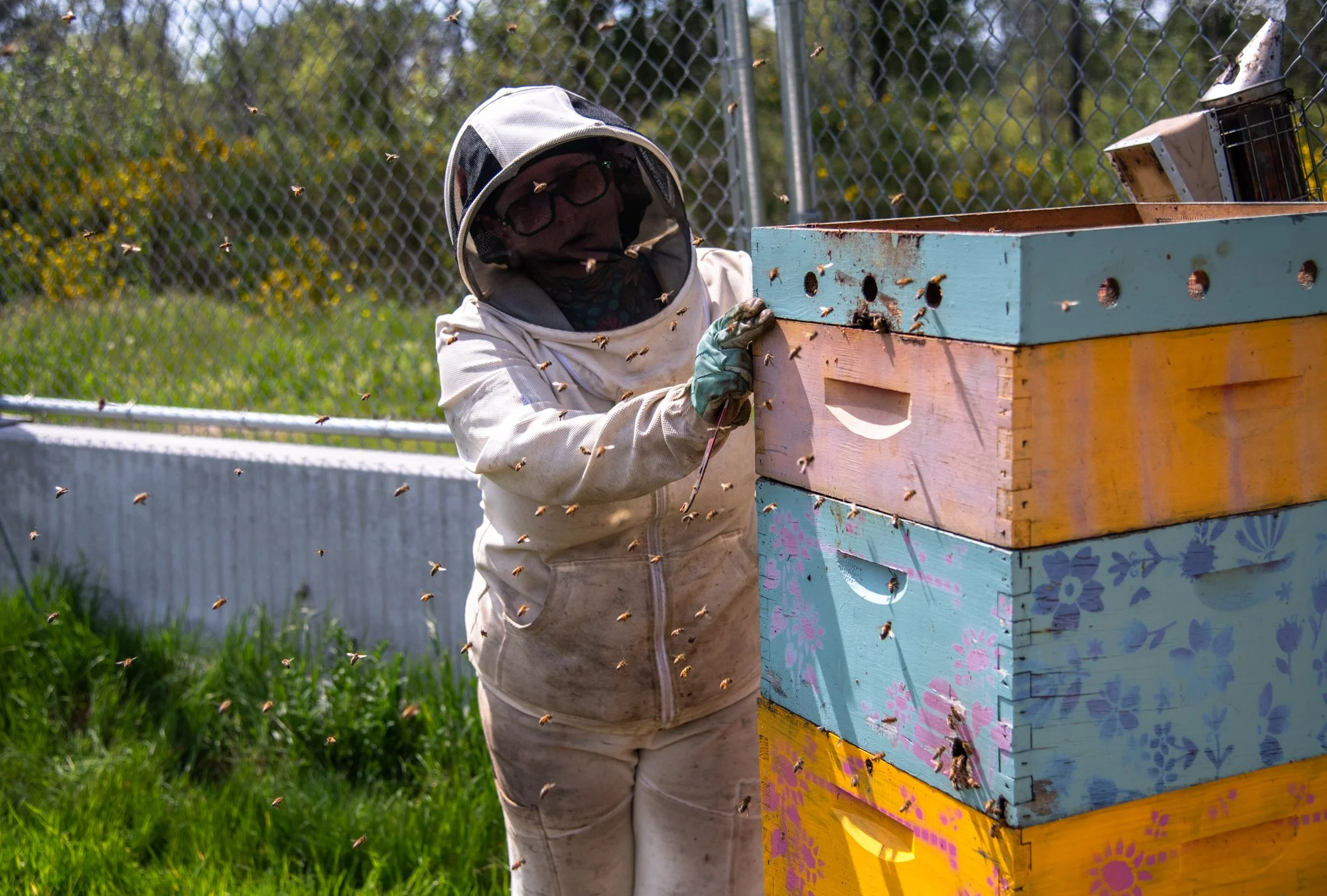SEA-apiary-46.jpg