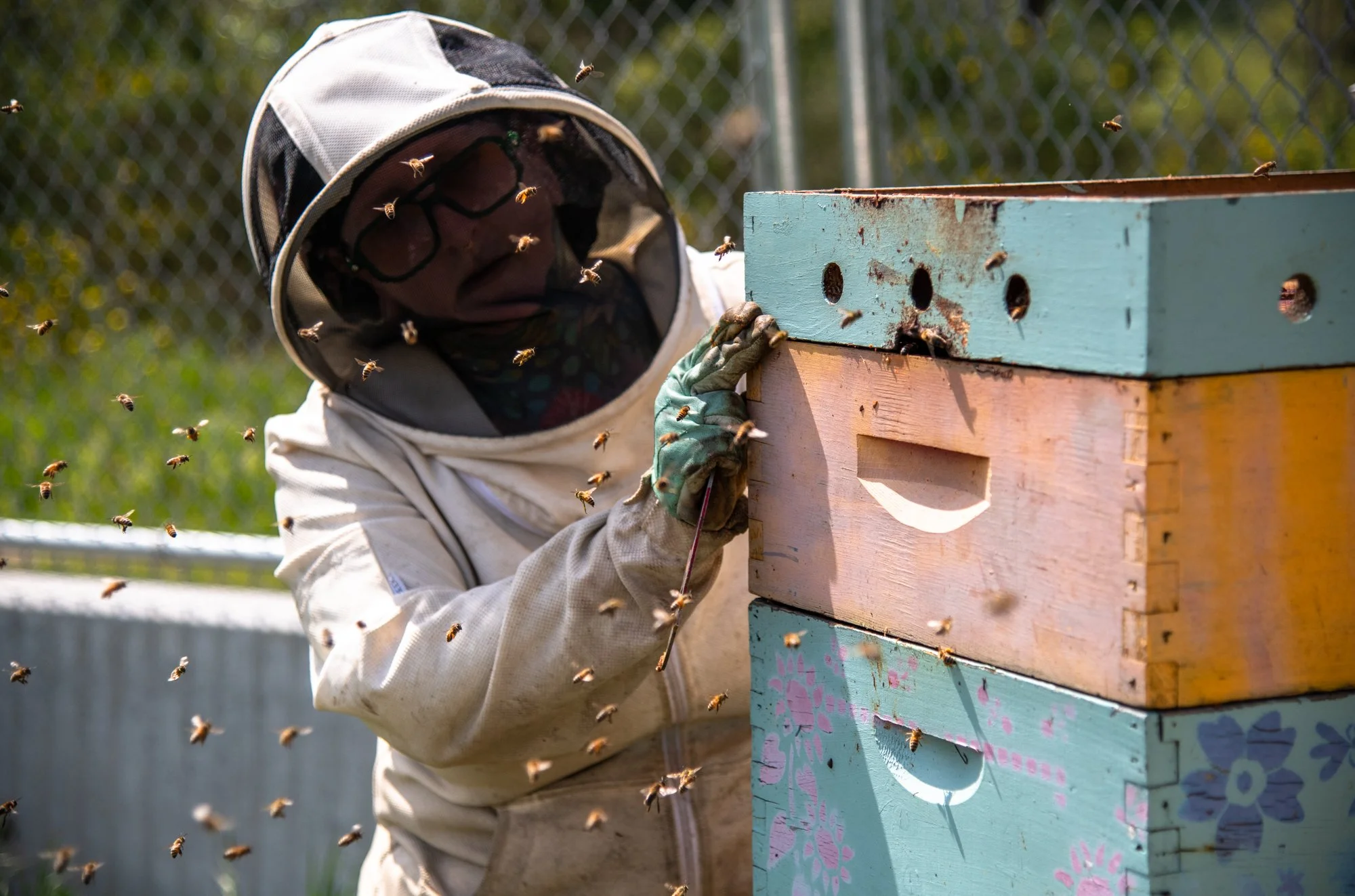 SEA-apiary-47.jpg