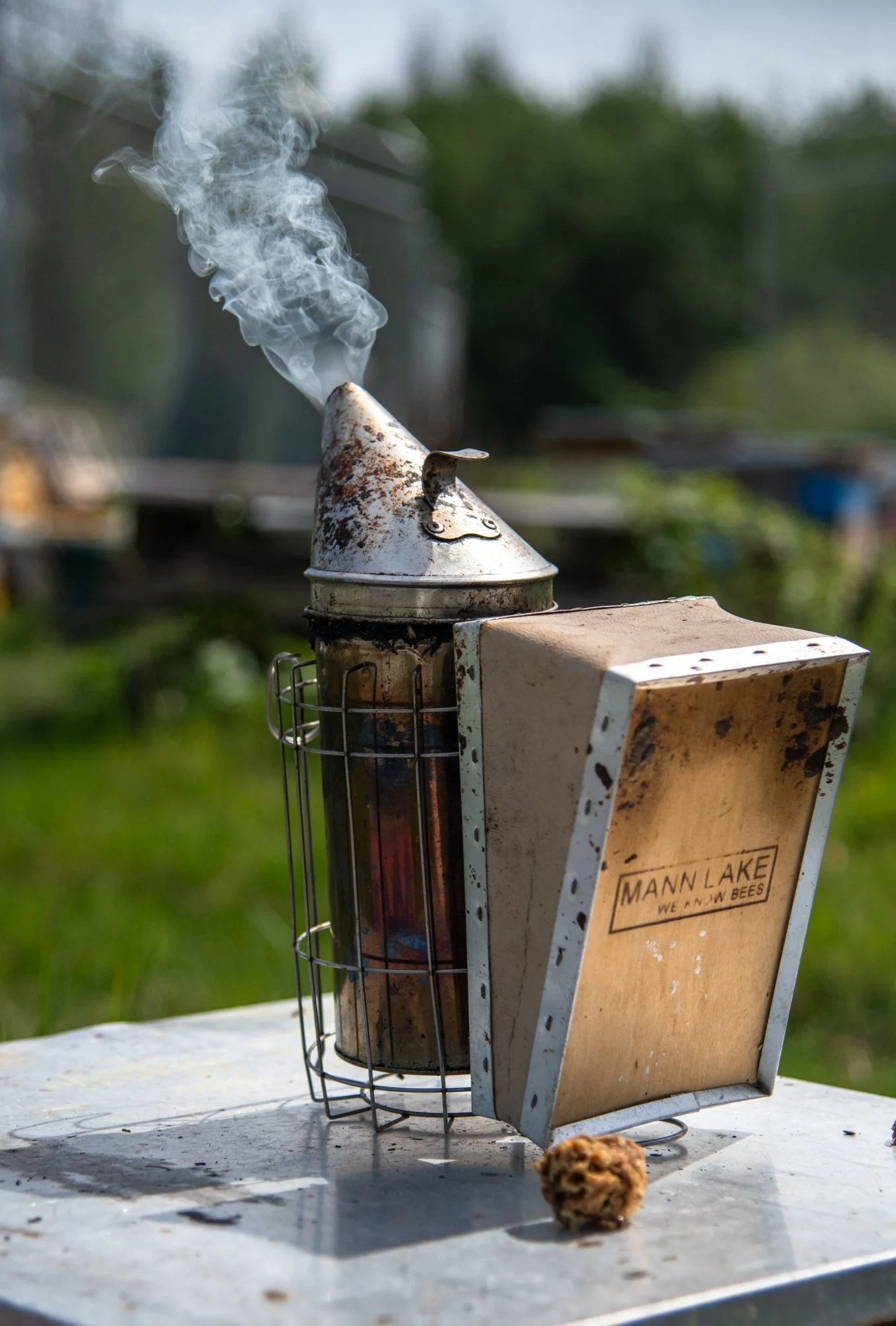 SEA-apiary-56.jpg