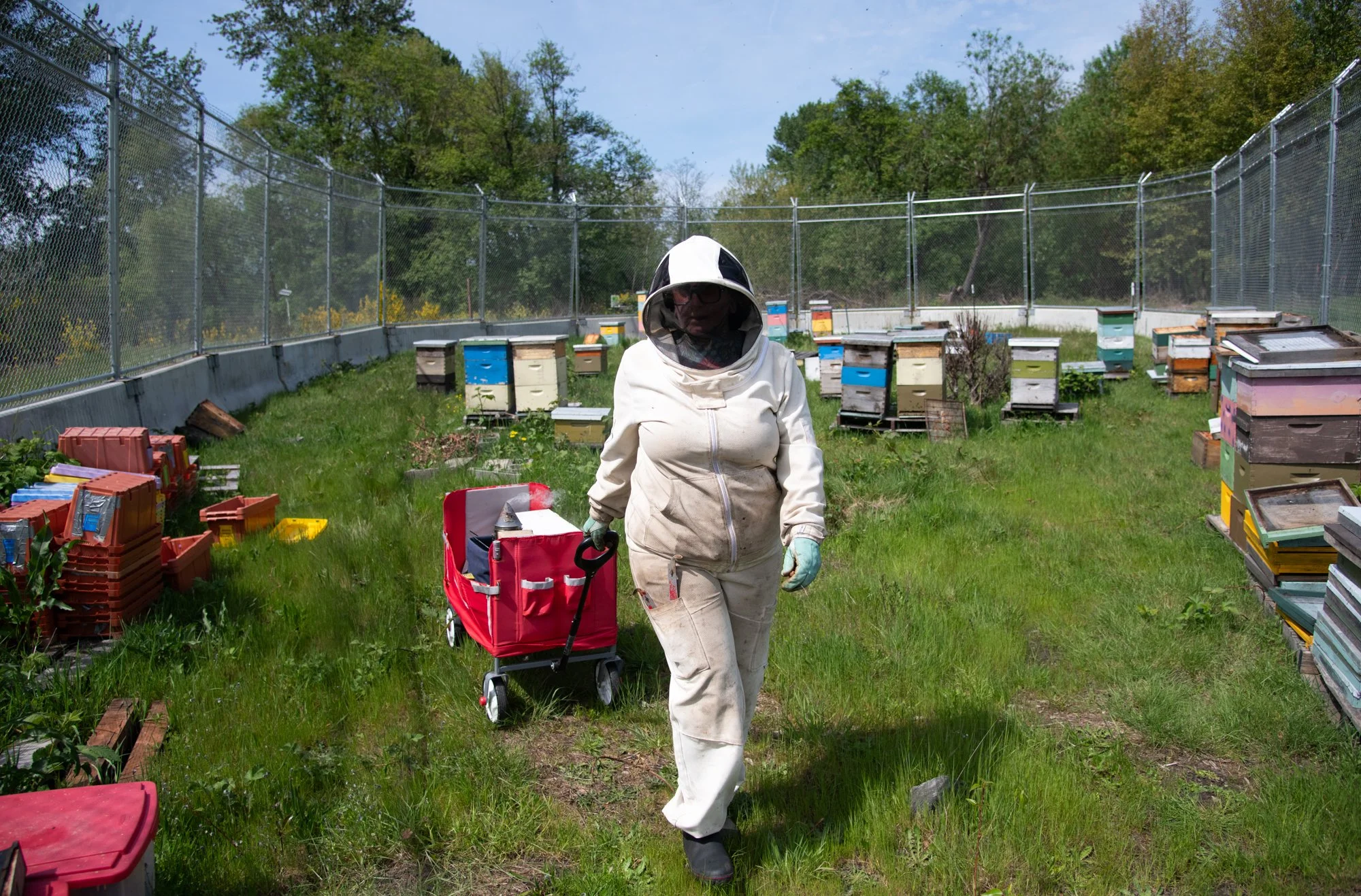 SEA-apiary-58.jpg