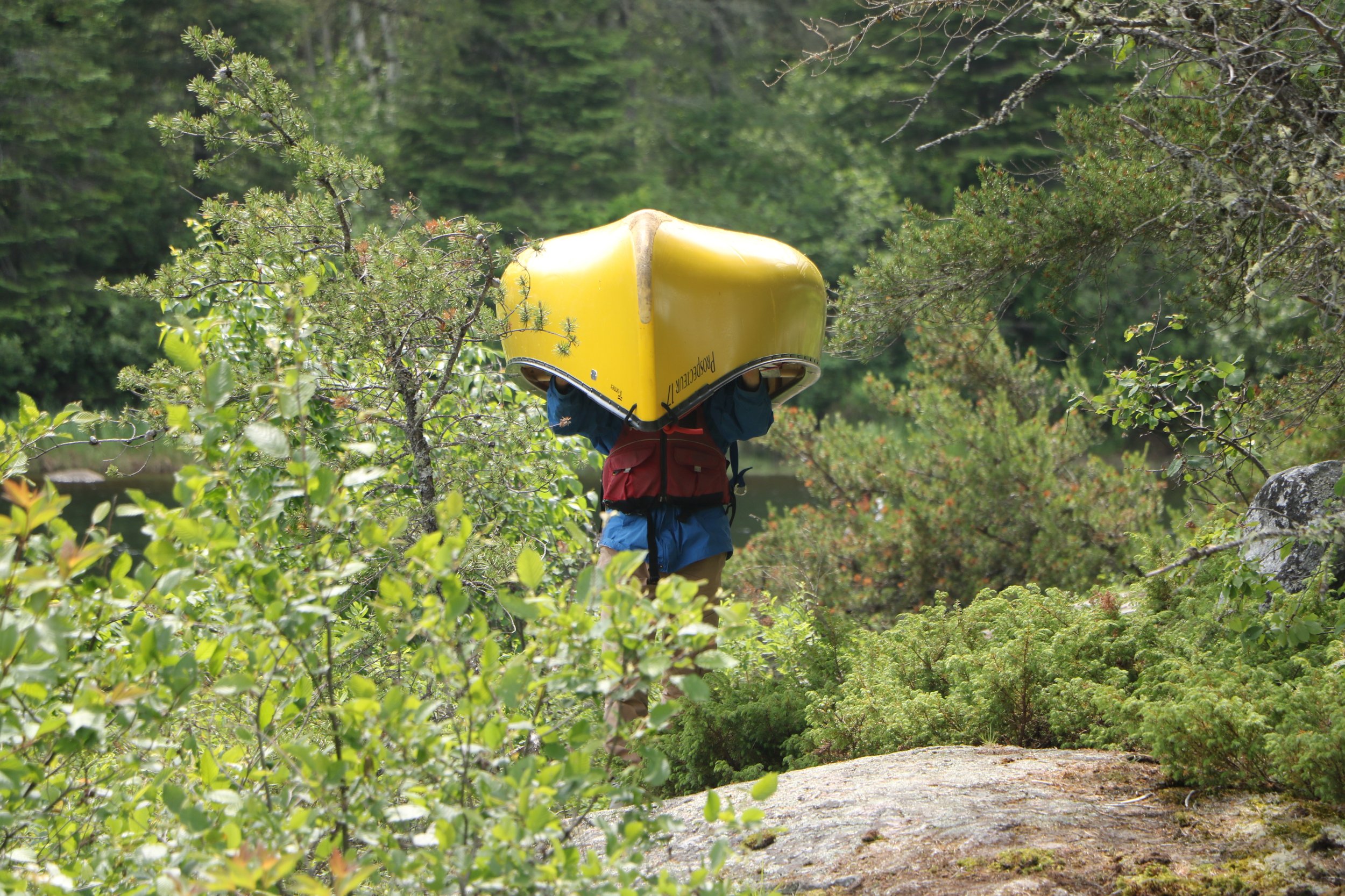 Dexter Davison Trip Championships