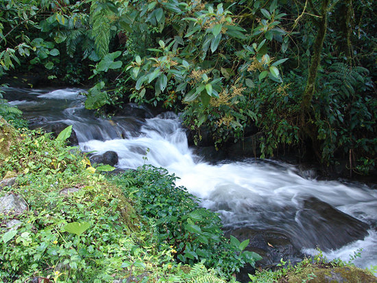 caldera-river-afluent.jpg