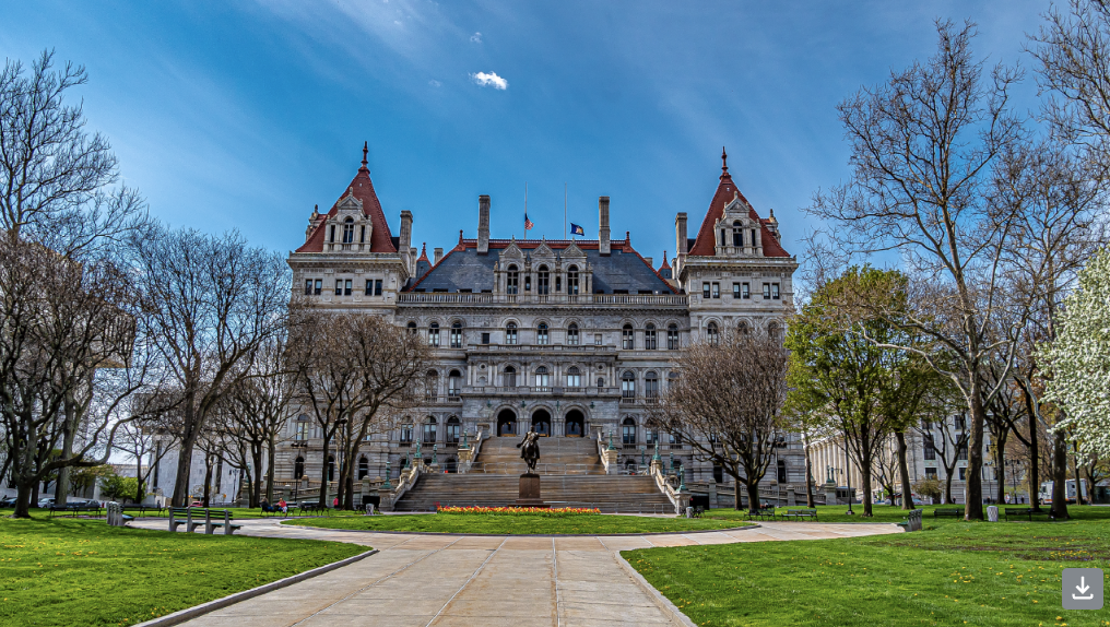 NYATEP is leading the way on priorities for the NYS Senate One House