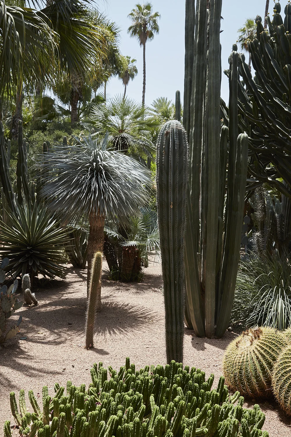 CNT_Morocco_0031.jpg