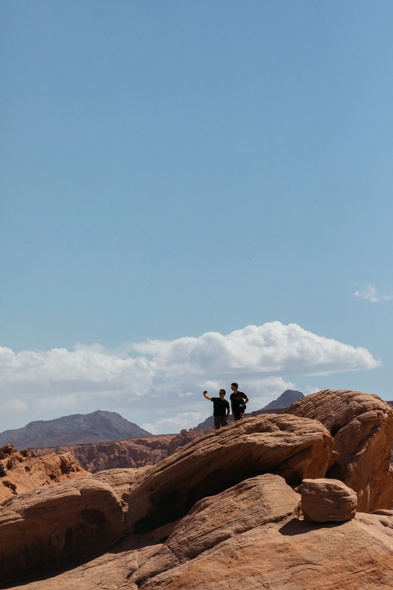 20220328_WSJ_VG_ValleyofFir (5).JPG