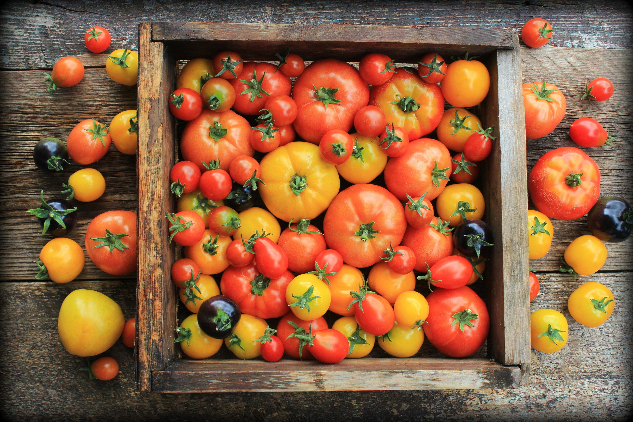 Yes. Tomatoes Can Make You More Productive