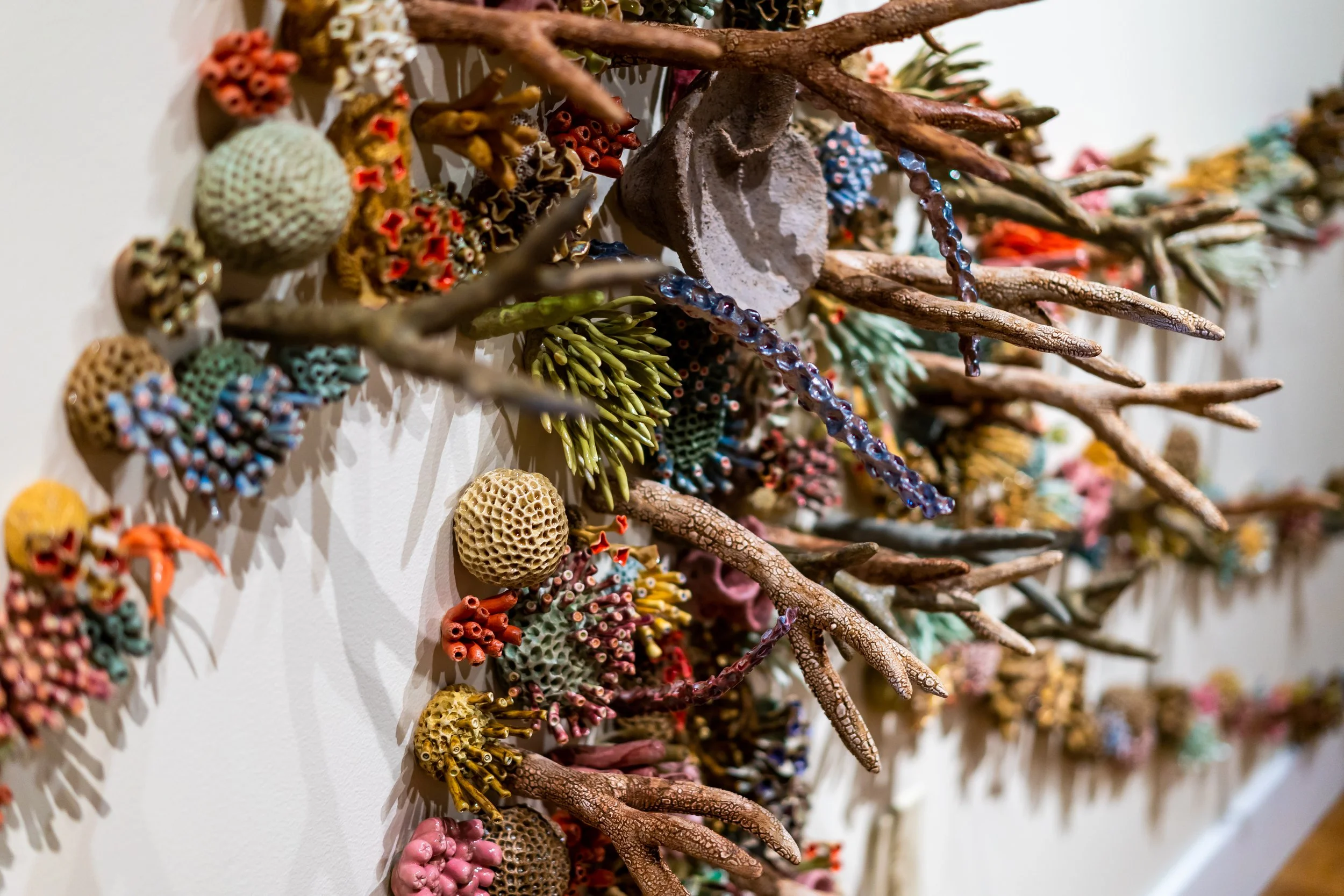Courtney Mattison: Undercurrent — Minnesota Marine Art Museum