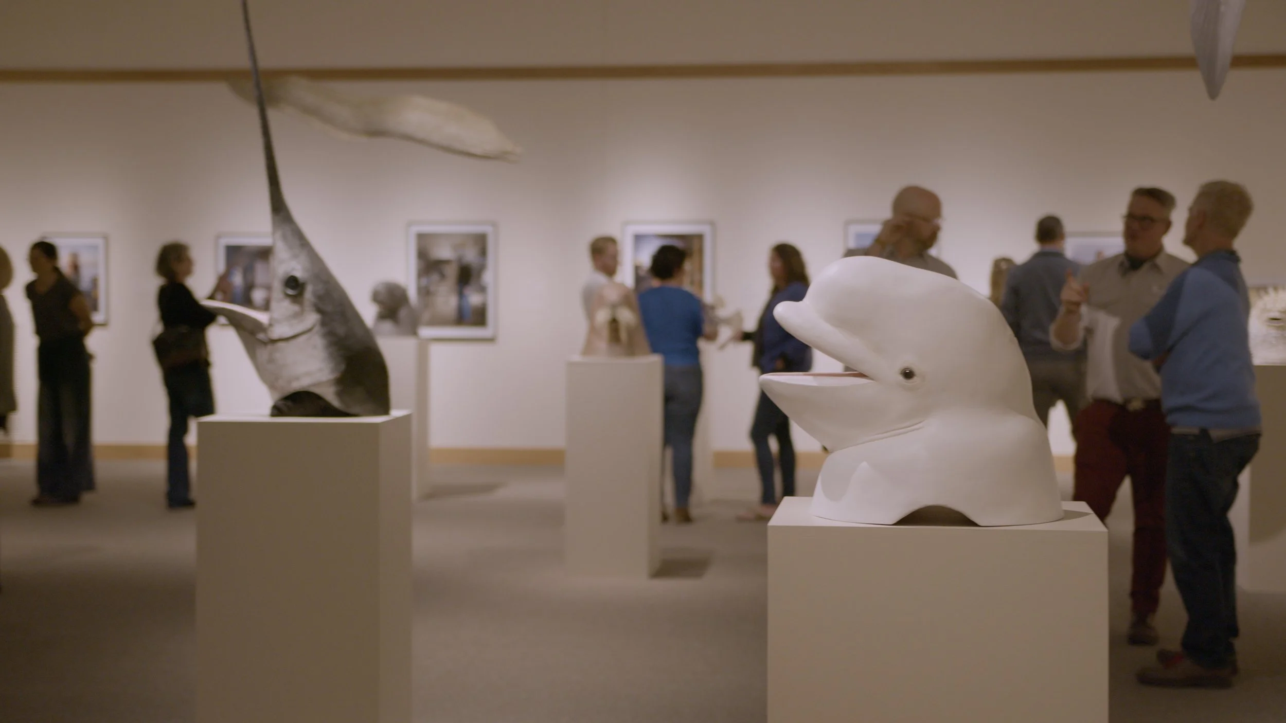 MMAM 05052023 Reel.00_16_11_22.Still141.jpg