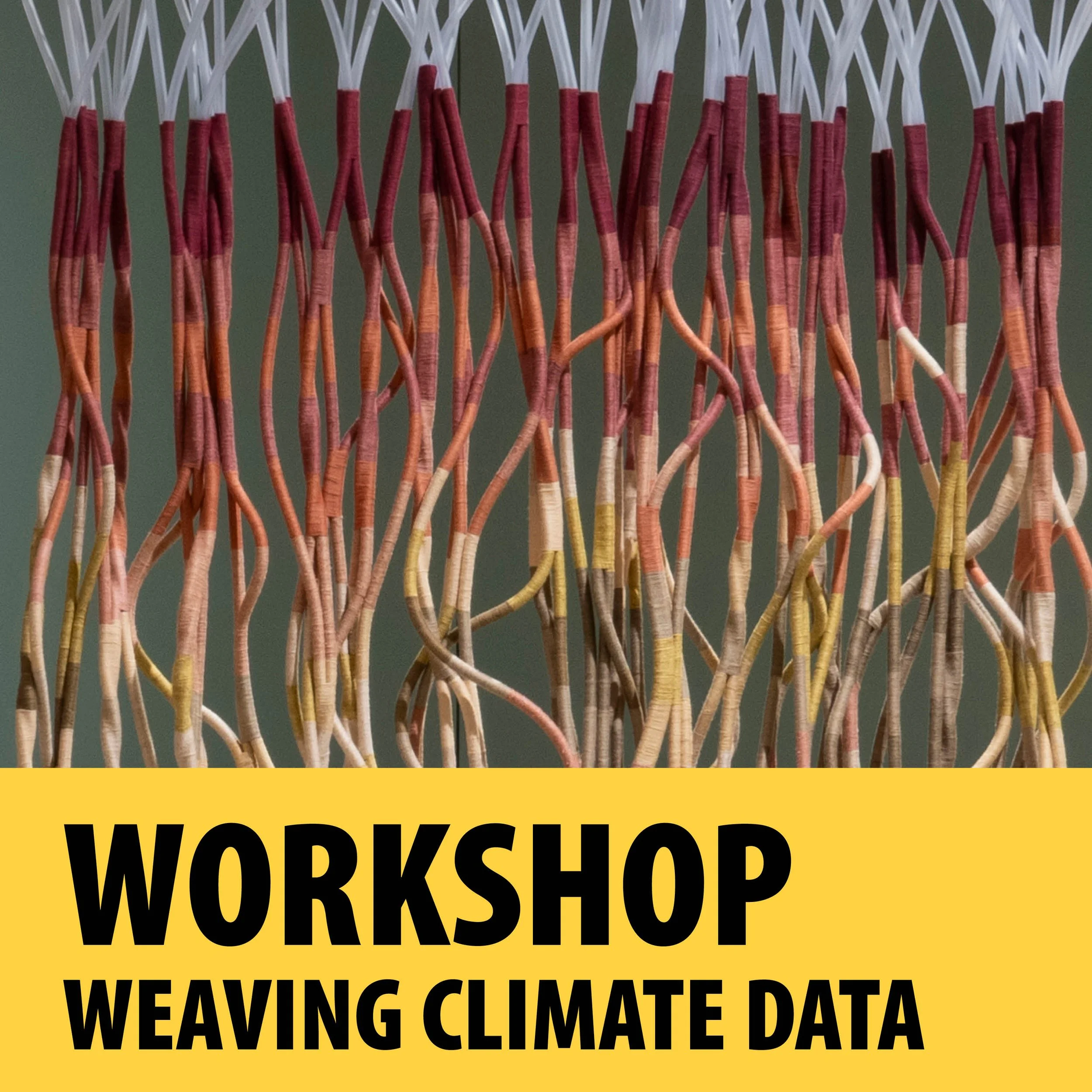 Workshop: Weaving Climate Data - Interpreting Place Through Color and Thread with Tali Weinberg