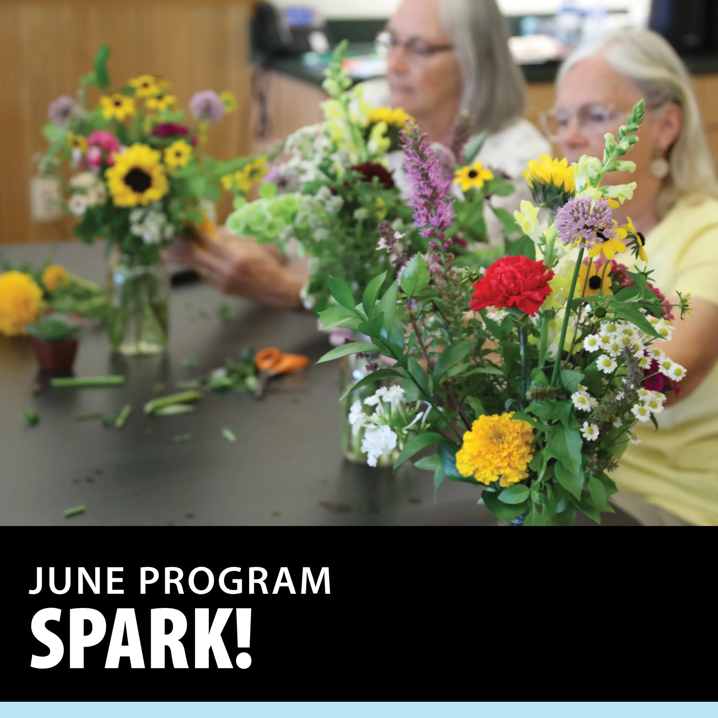 SPARK! Cultural Programming for People Living with Memory Loss 