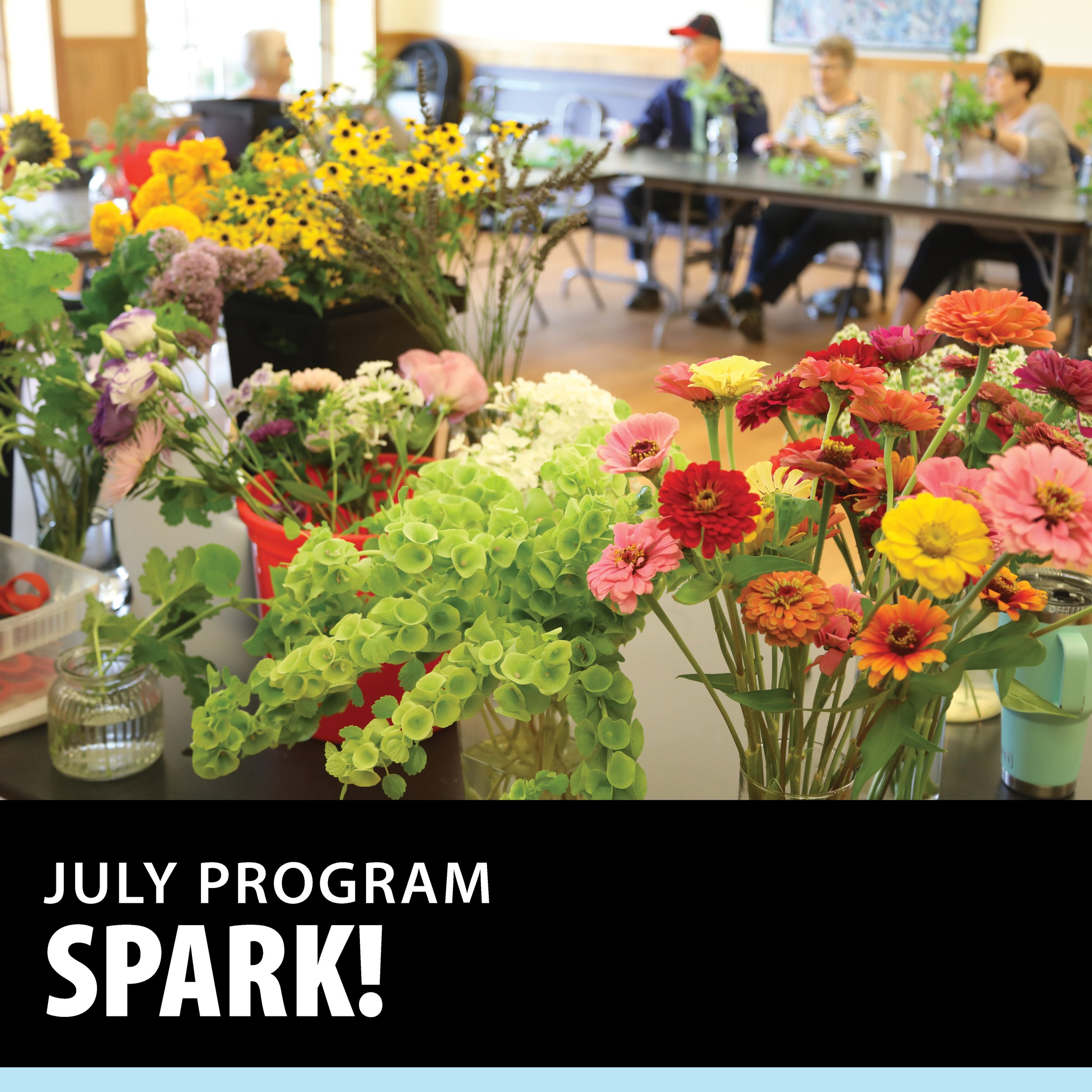 SPARK! Cultural Programming for People Living with Memory Loss