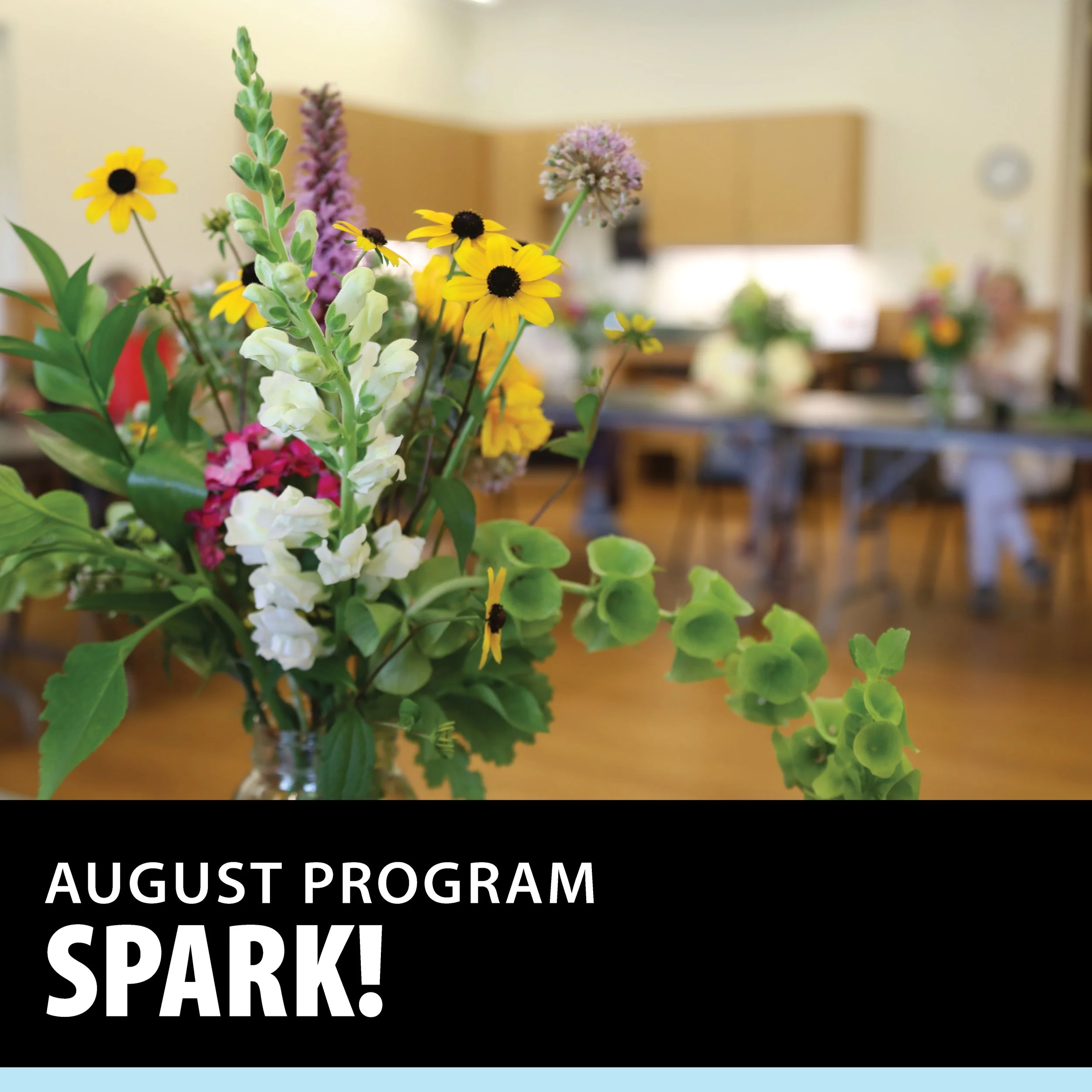 SPARK! Cultural Programming for People Living with Memory Loss