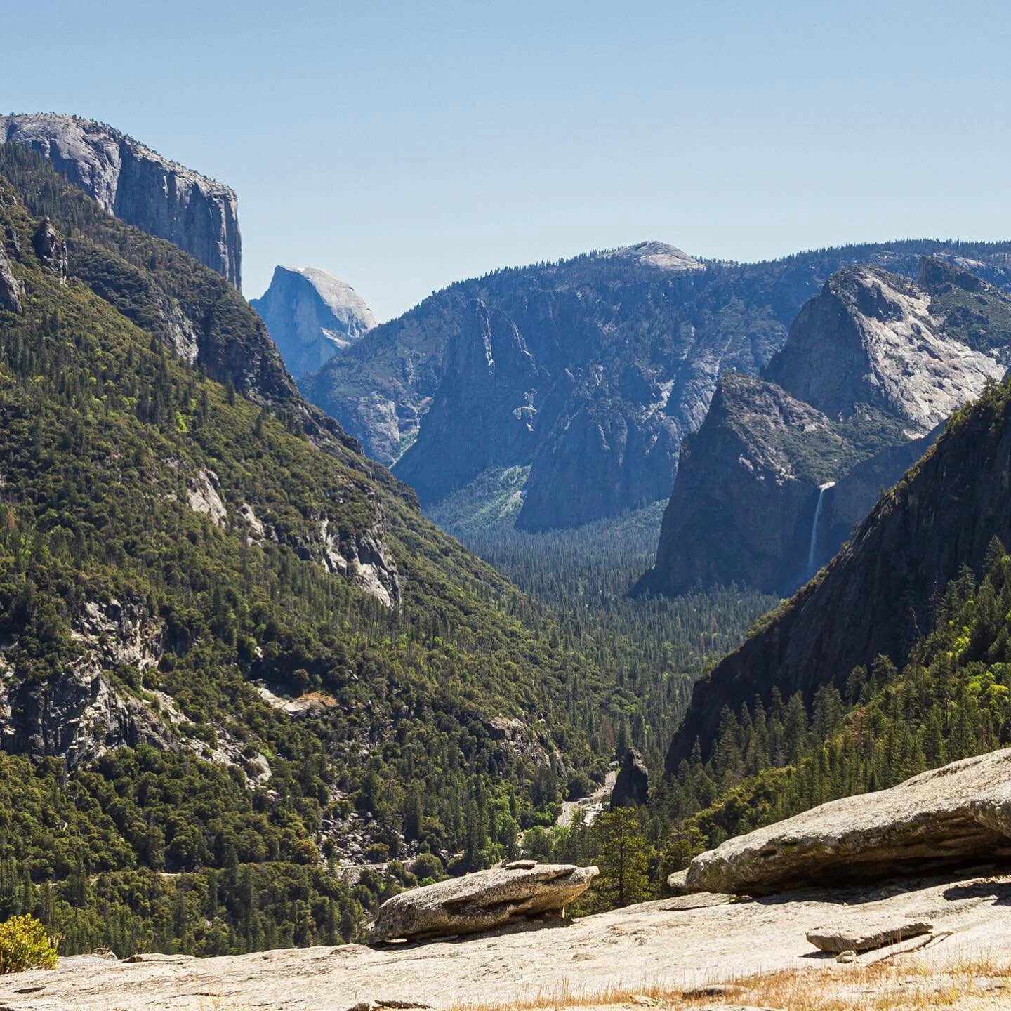 One of my favorite shots from our trip to Yosemite 👀 Tunnel View. Went a little off-road to get it. 🏞