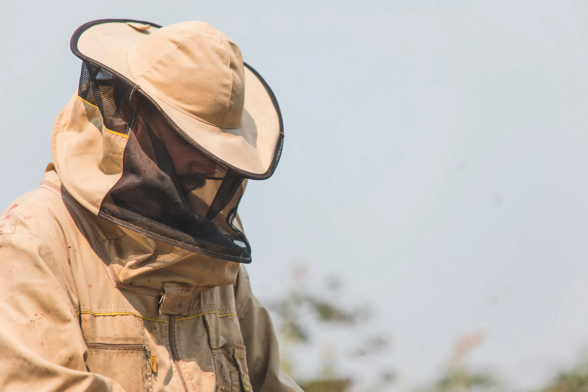 beekeeper-wearing-suit.jpg