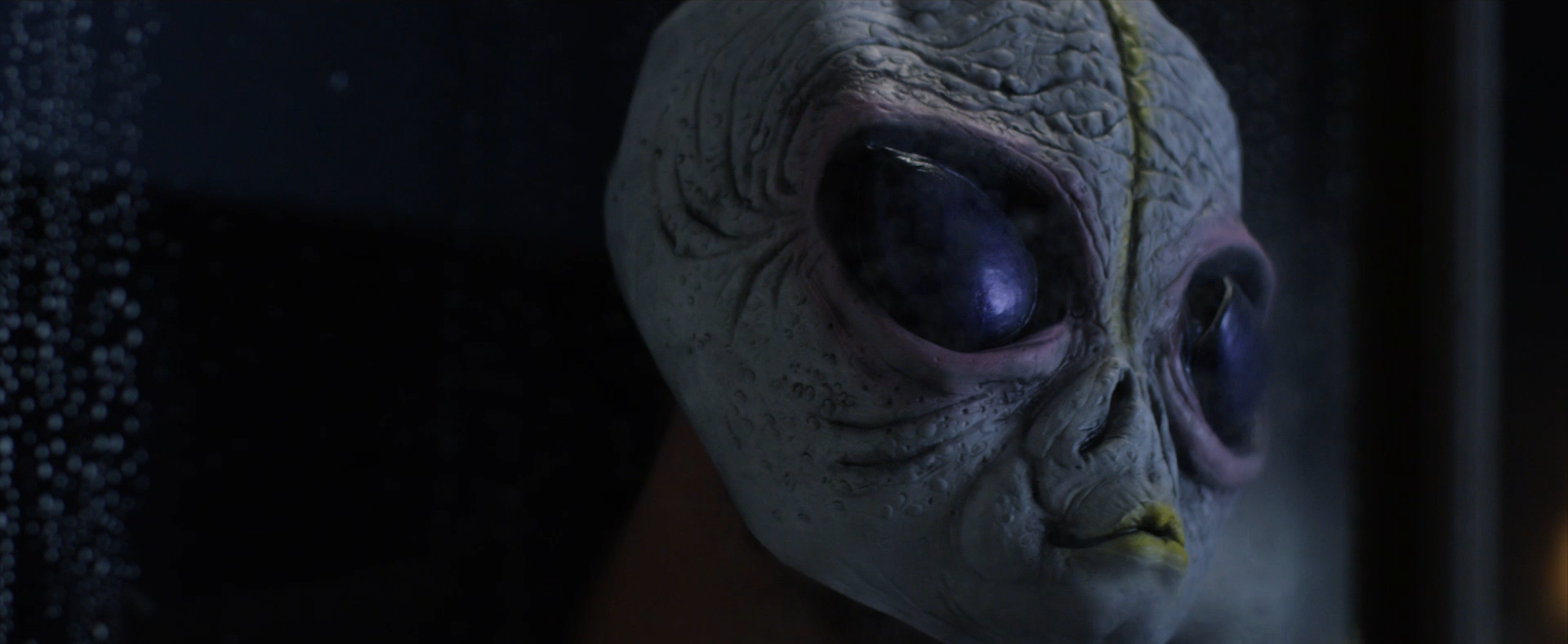 Screenshot (103).png