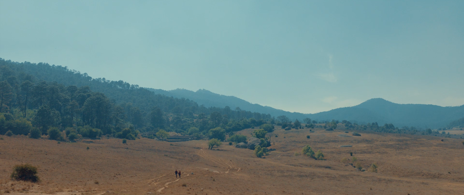 Screenshot (329).png