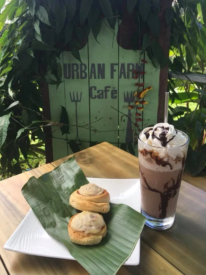 The Best Coffee In Costa Rica And Where To Find It FLIGHT (B)LOG by Zion Susanno Paragliding