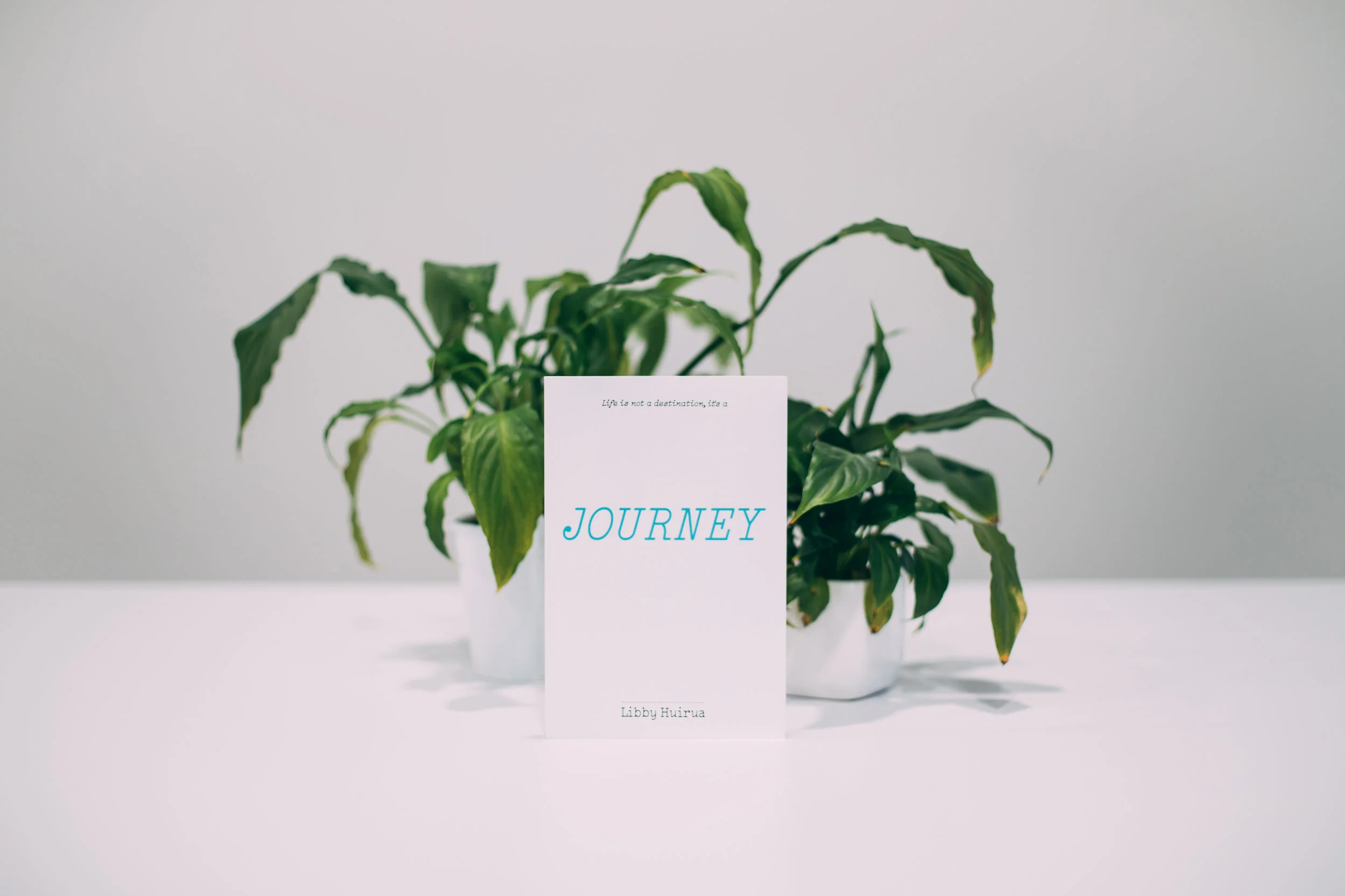 W&LProducts_20.08.2018_07.jpg