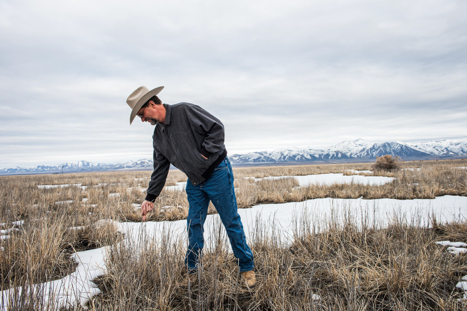 Rancher Edward Bartell fears that the local water table level will drop dramatically once the mine starts operating, and that much of the native wild rye on his Quinn River Valley ranch will dry up.Russel Albert Daniels / High Country News