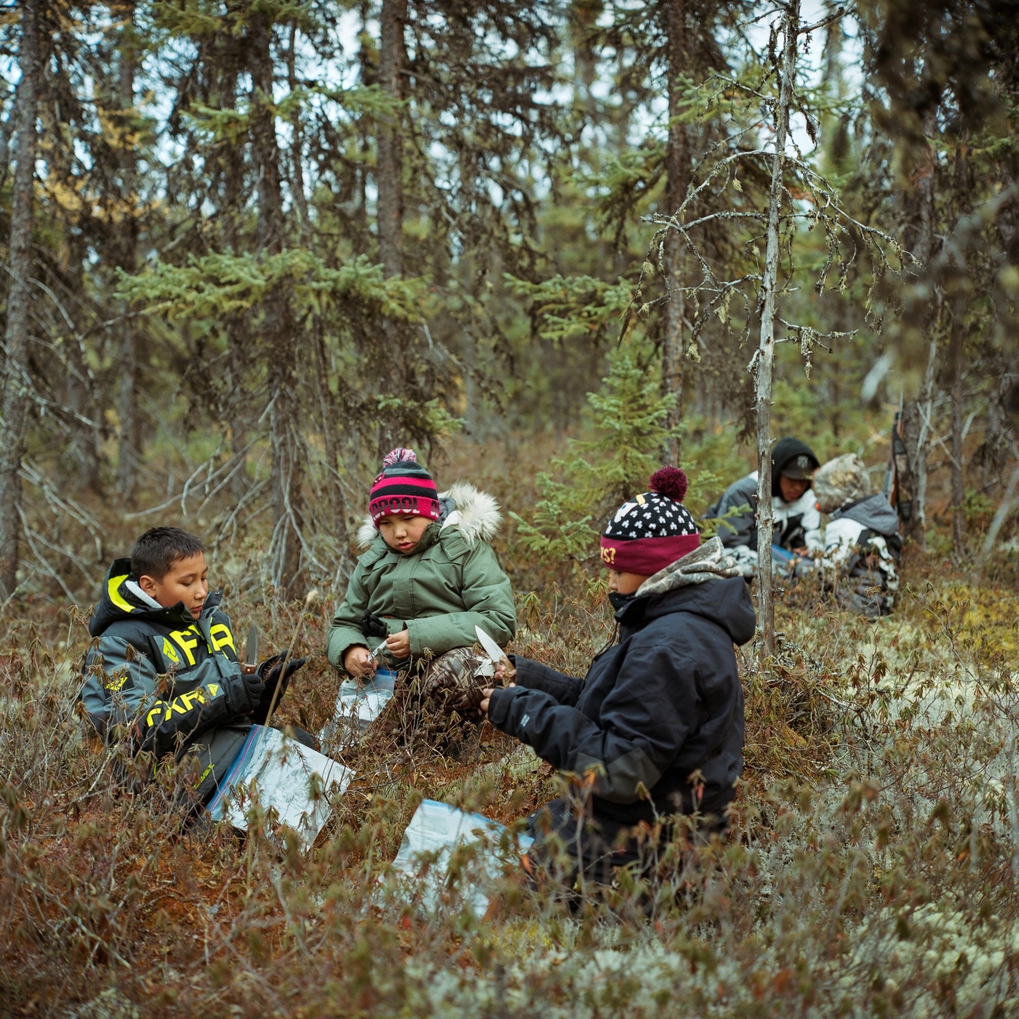 From left to right: Cohen, Carter and their cousin Richard harvest plants on an island in the Churchill River during a moose hunting trip. Annual hunting trips to the traplines are supported by funding from Manitoba Hydro, which covers the cost of f…