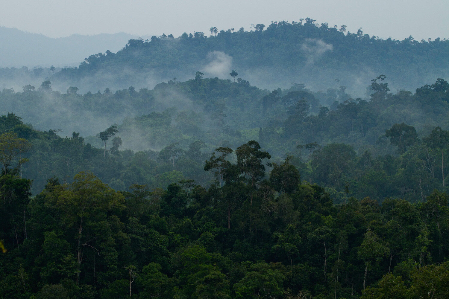 The Meratus Mountains, South Kalimantan. Photo by Ulet Ifansasti/Greenpeace.