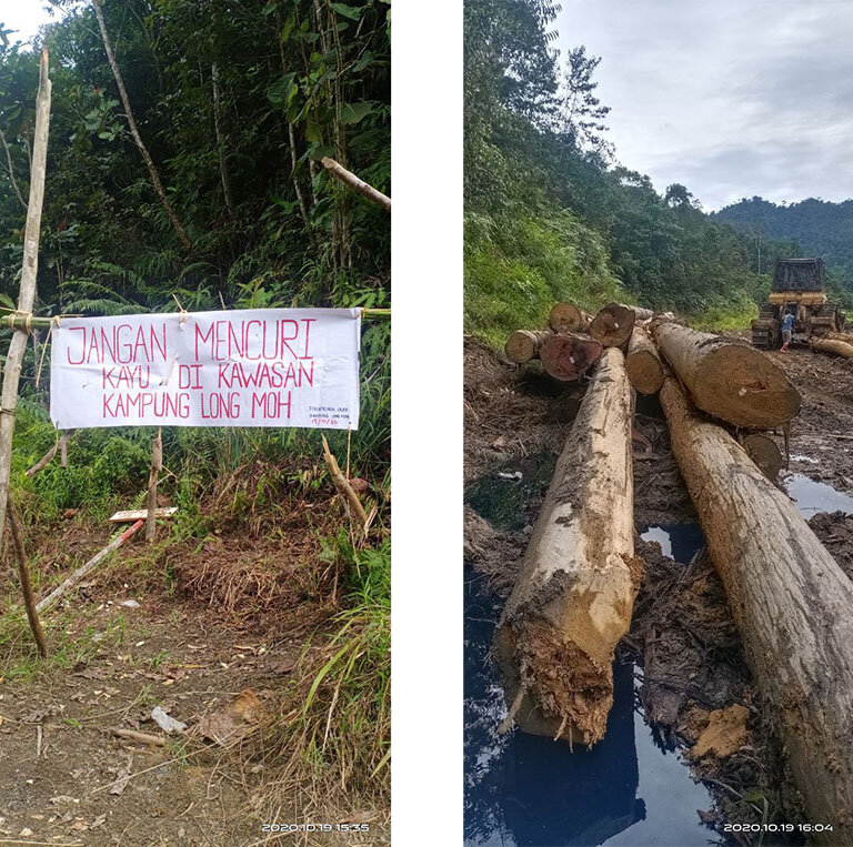 Protest sign and logging in the Baram Peace Park area in November 2019. Photo credit: The Borneo Project