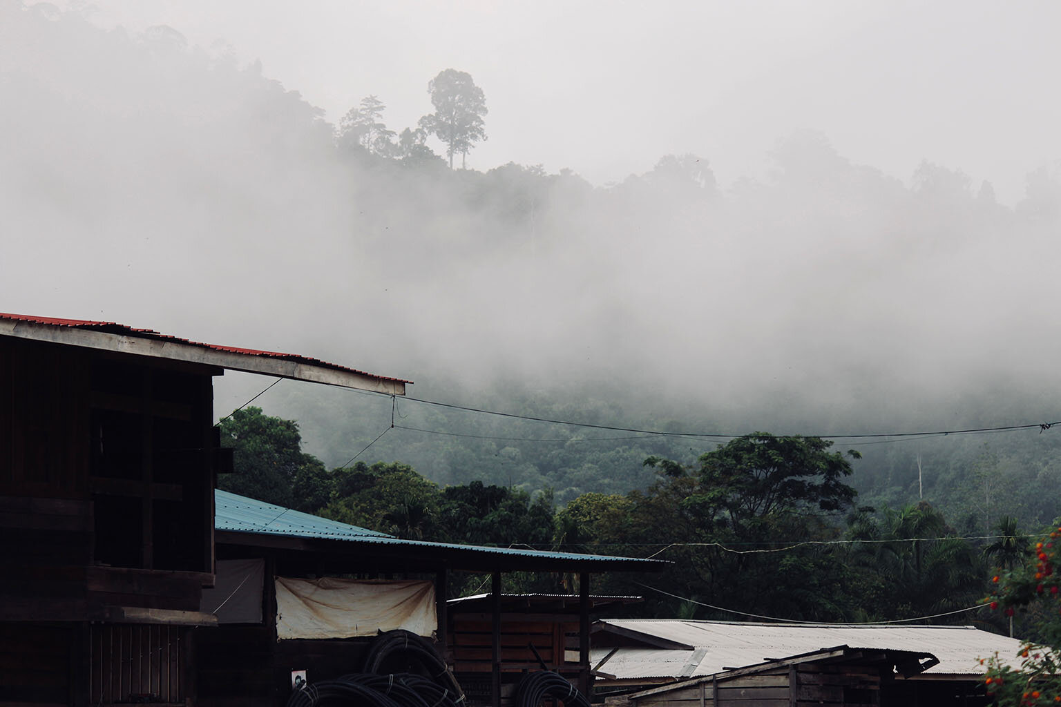 Long Siut, an Indigenous village, in July 2018. Photo credit: Fiona McAlpine of The Borneo Project