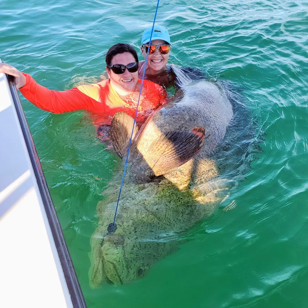Two anglers with a giant Goliath grouper on a Captiva fishing charter