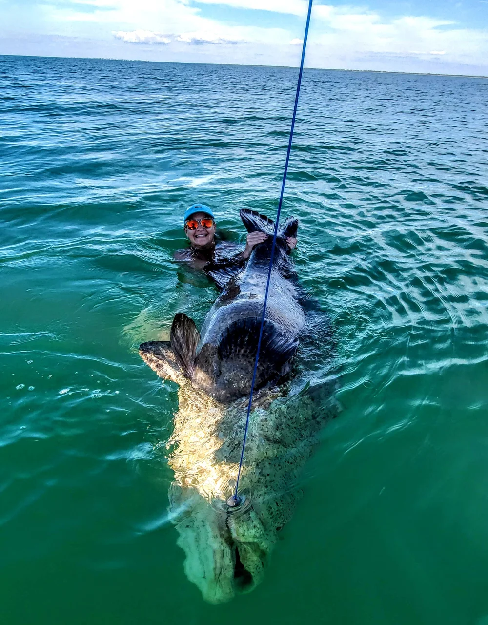Angler swimming with a giant Goliath grouper near Sanibel and Captiva