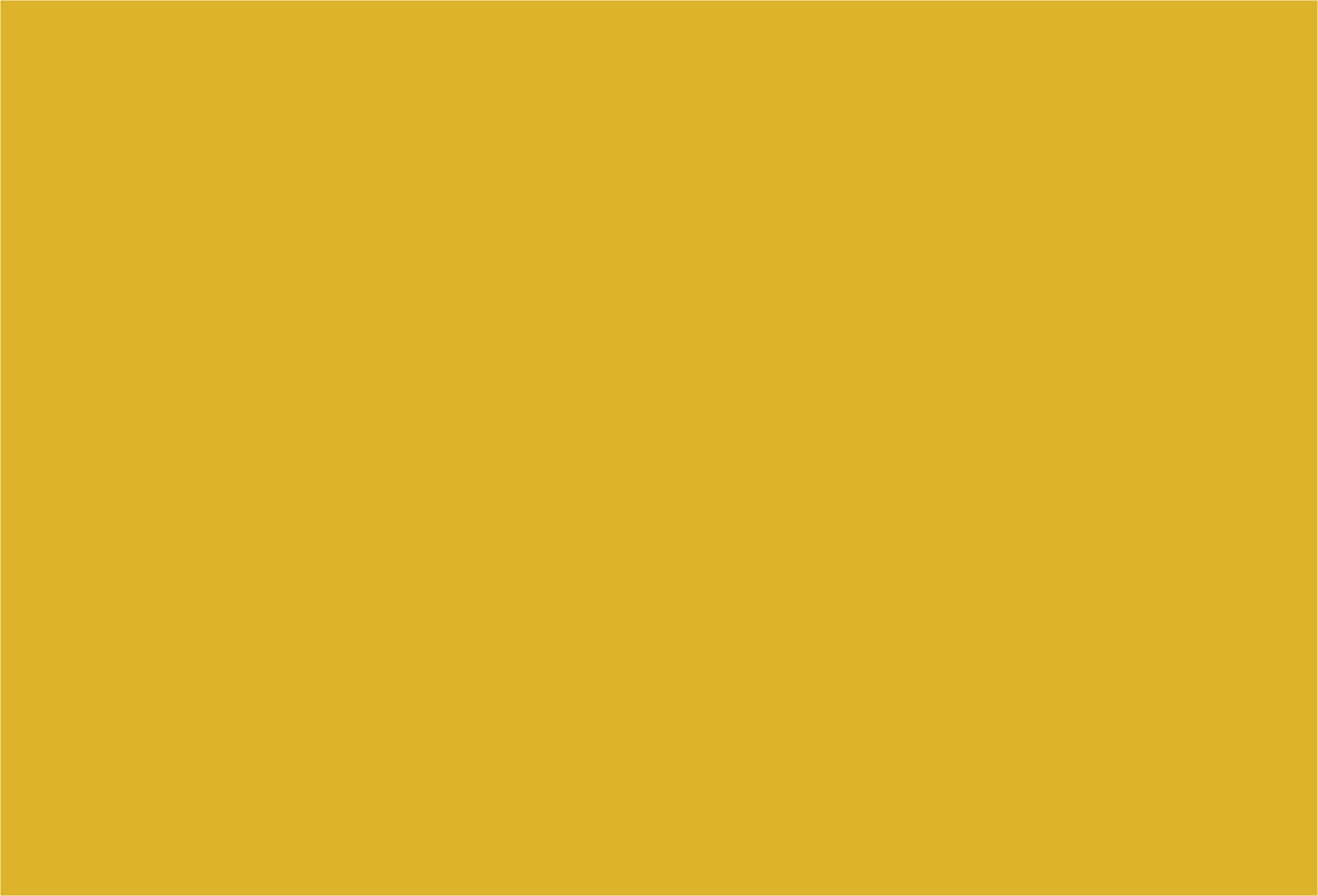 Untitled-5-01.png