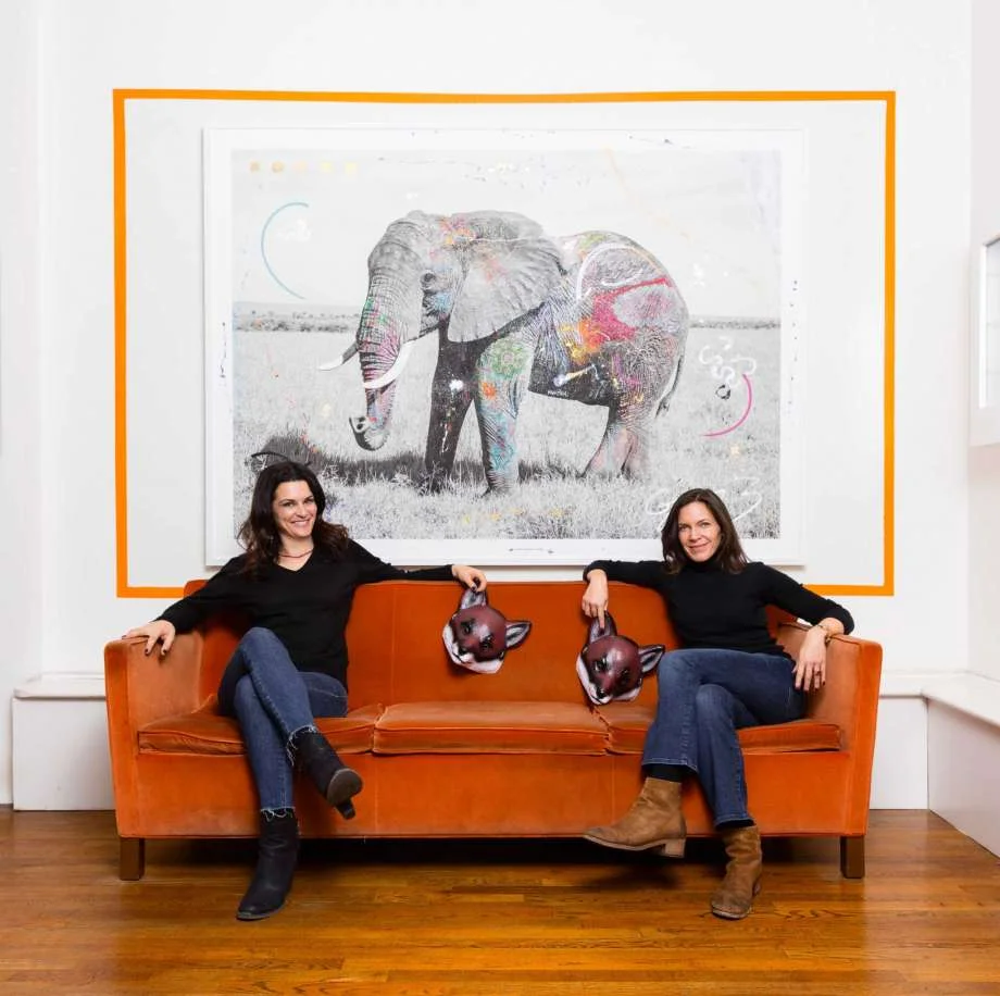 The Dazzling Elephant in the Room | Novogratz, Sukey and Elizabeth