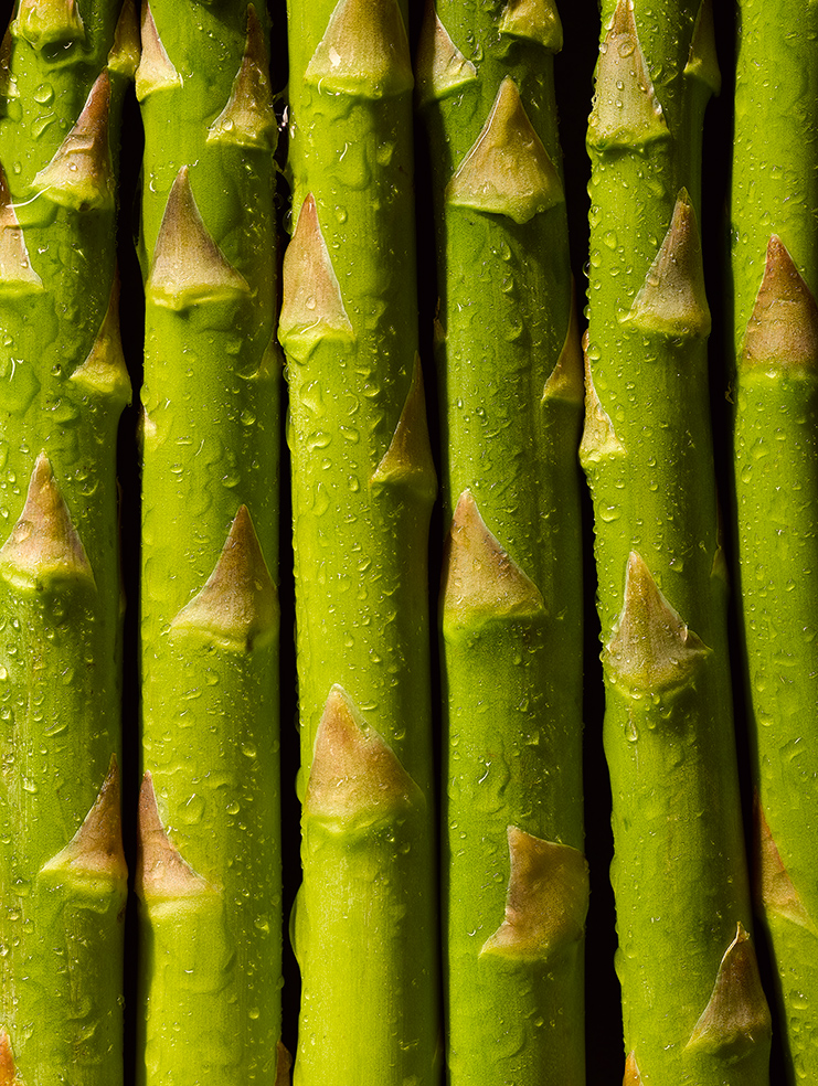 JORDAN_HUDSON_Asparagus.jpg