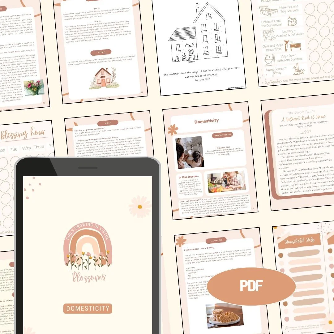 Domesticity Website Thumbnail.jpg