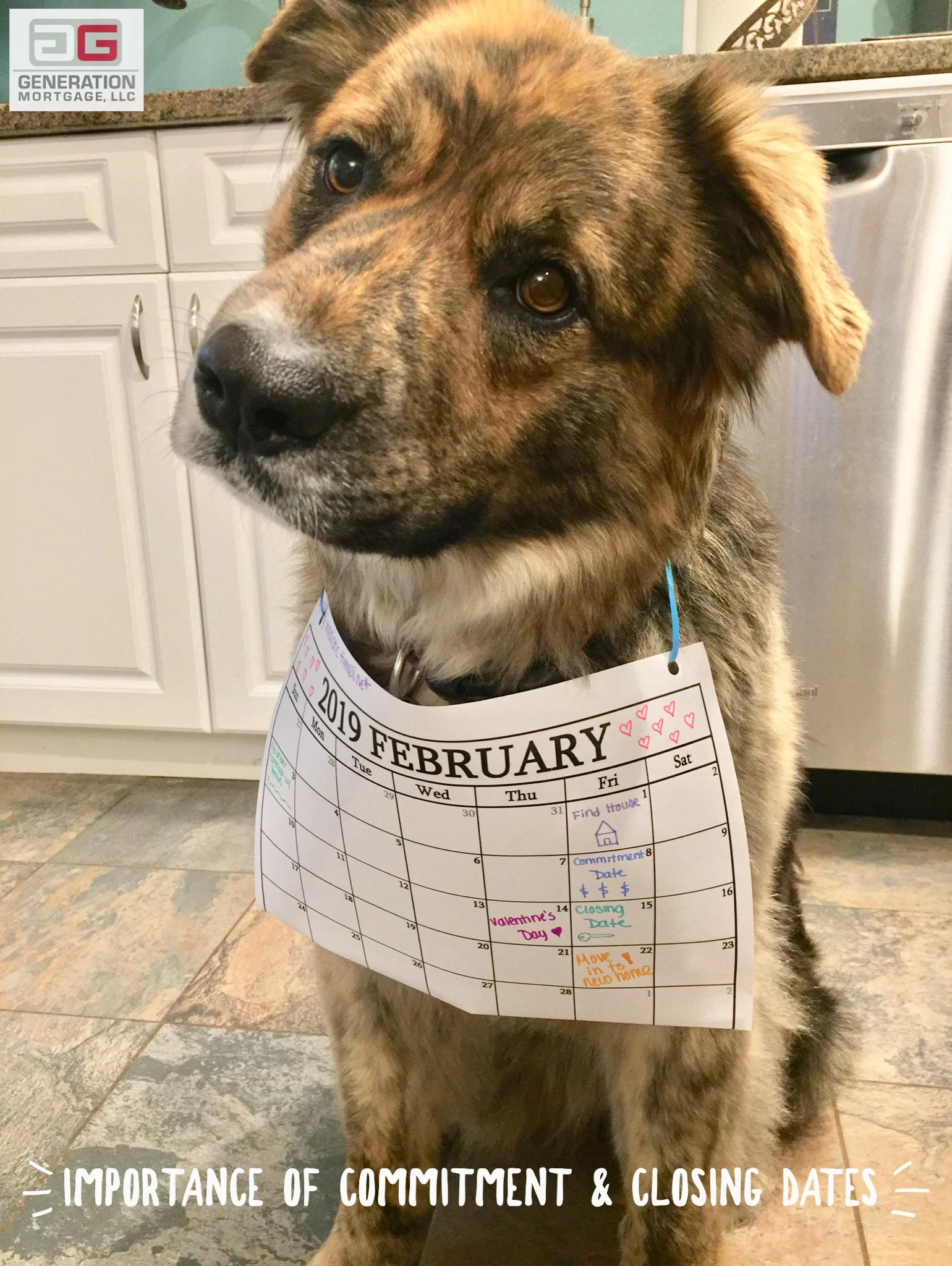 Puppy modeling a calendar that shows the important dates during purchasing a home, such as the commitment and closing dates.