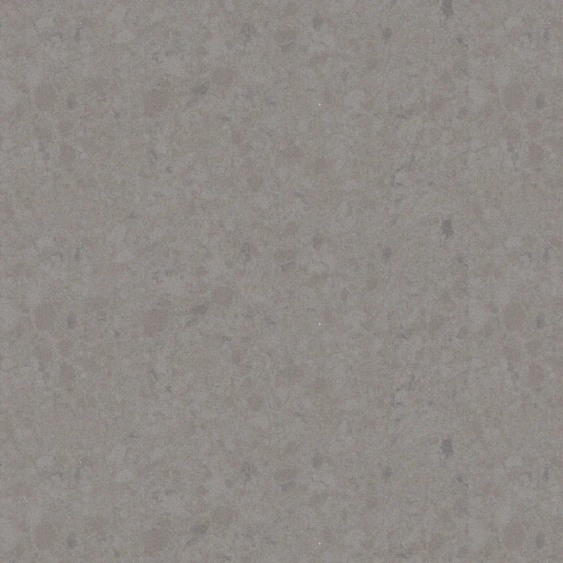 Oyster (Copy)