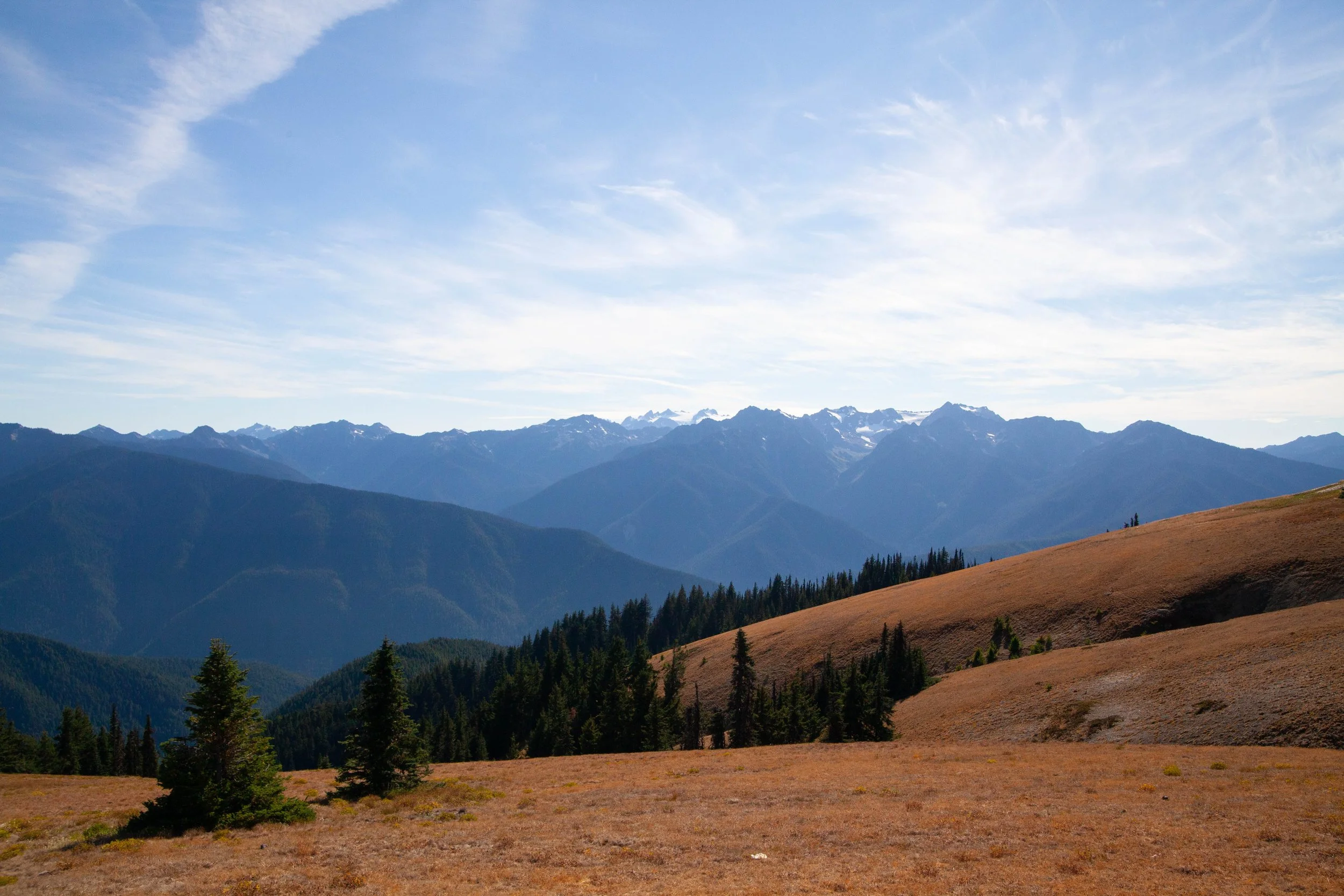 Olympic National Park